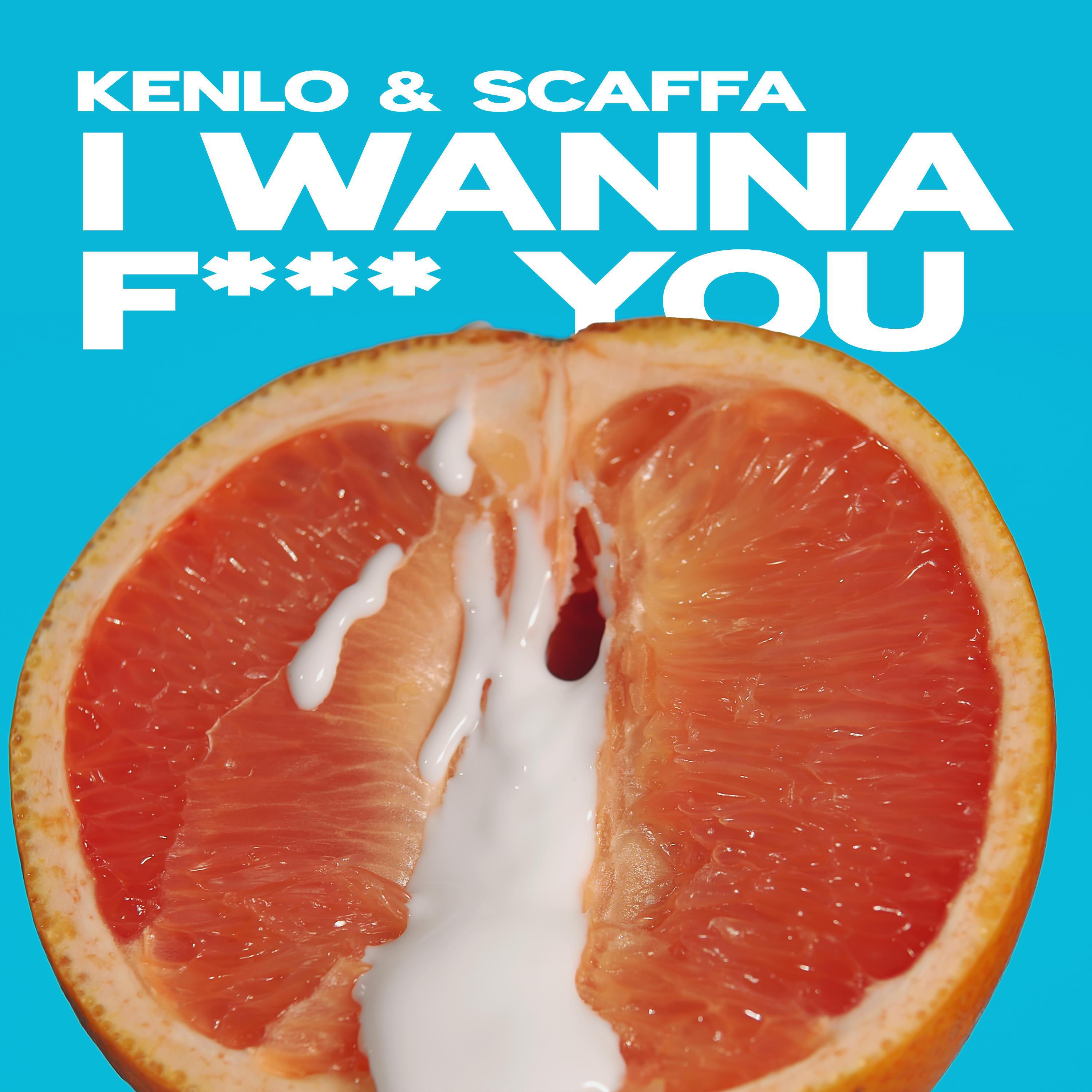 Релиз I Wanna Fuck You