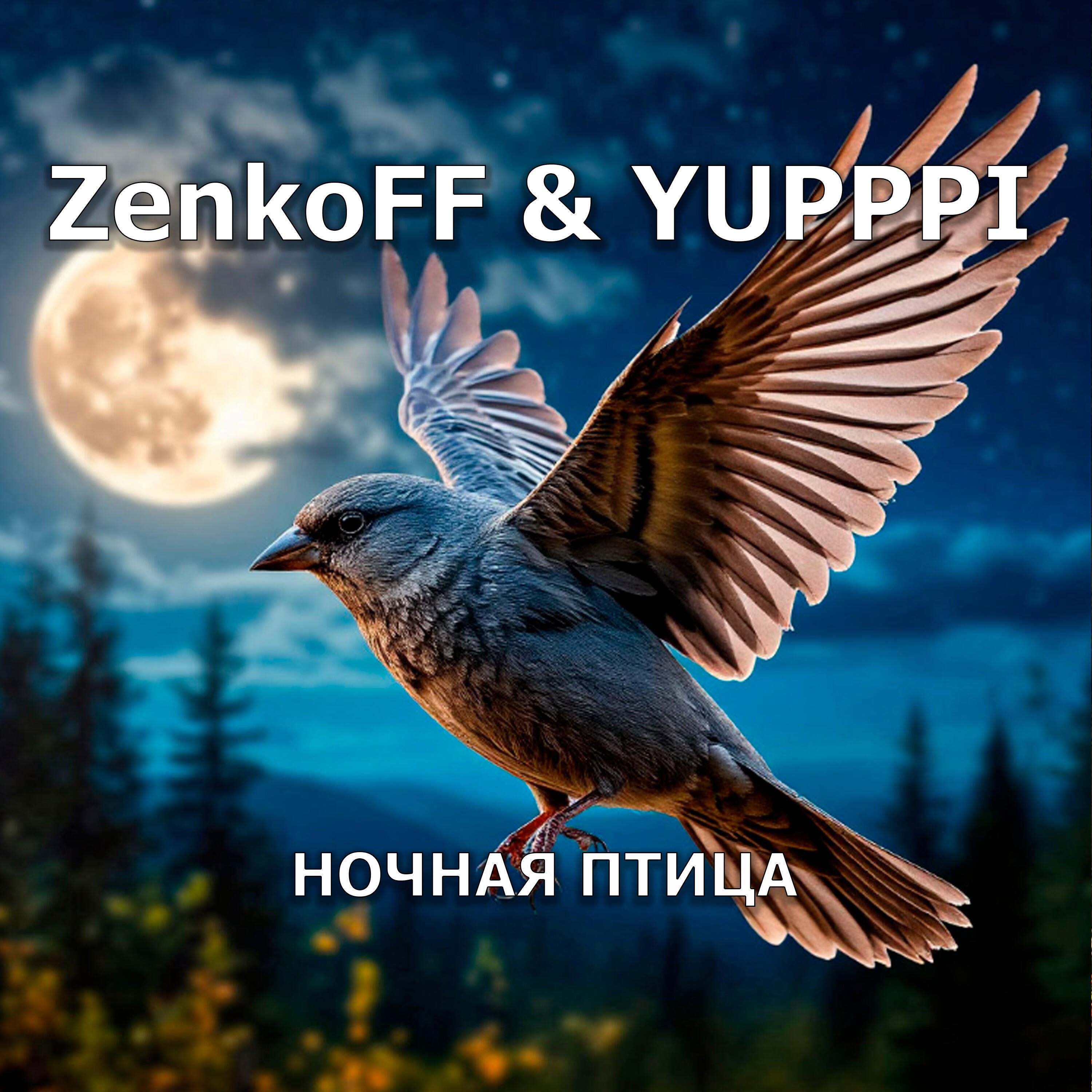 Релиз Ночная птица