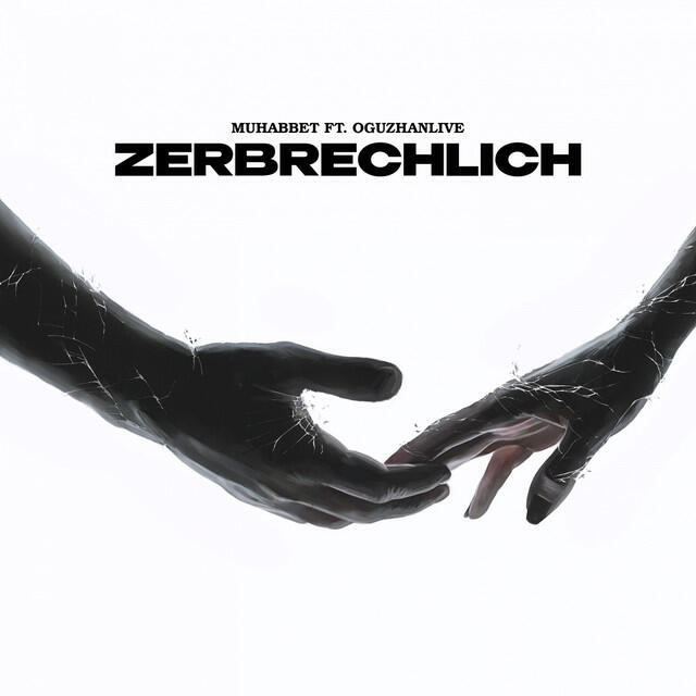 Релиз Zerbrechlich
