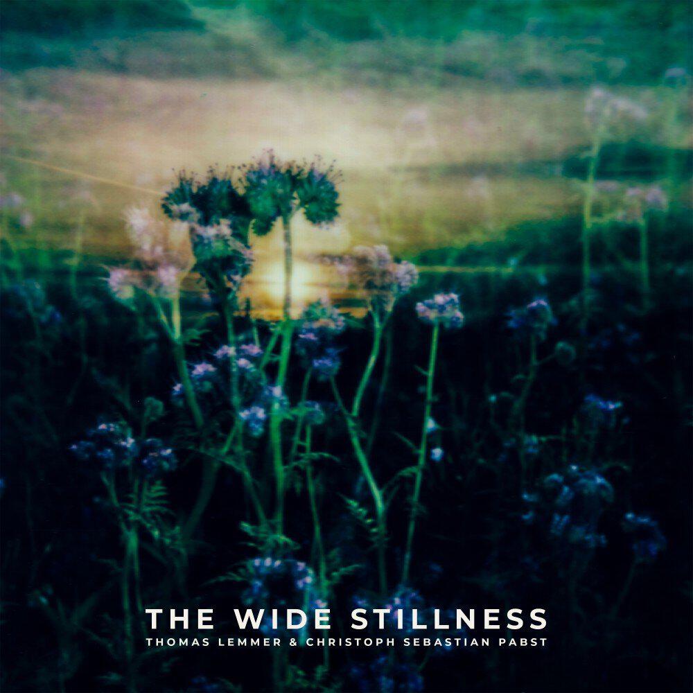 Релиз The Wide Stillness