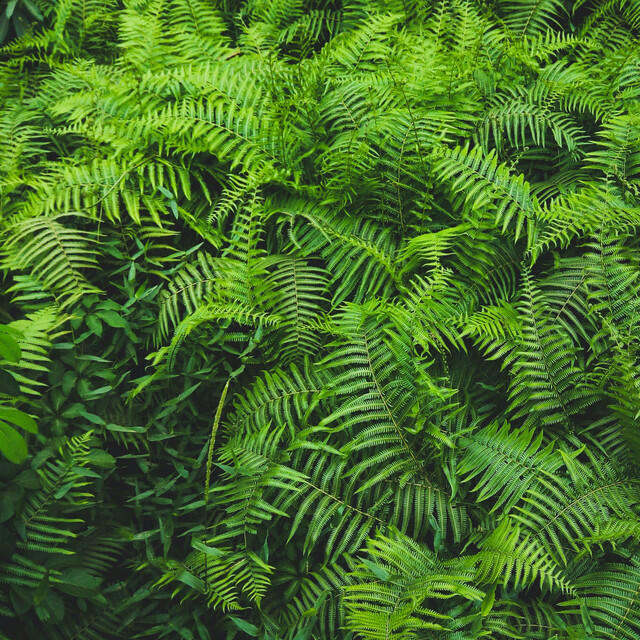 Релиз Soft Wellness Sounds | Meditation