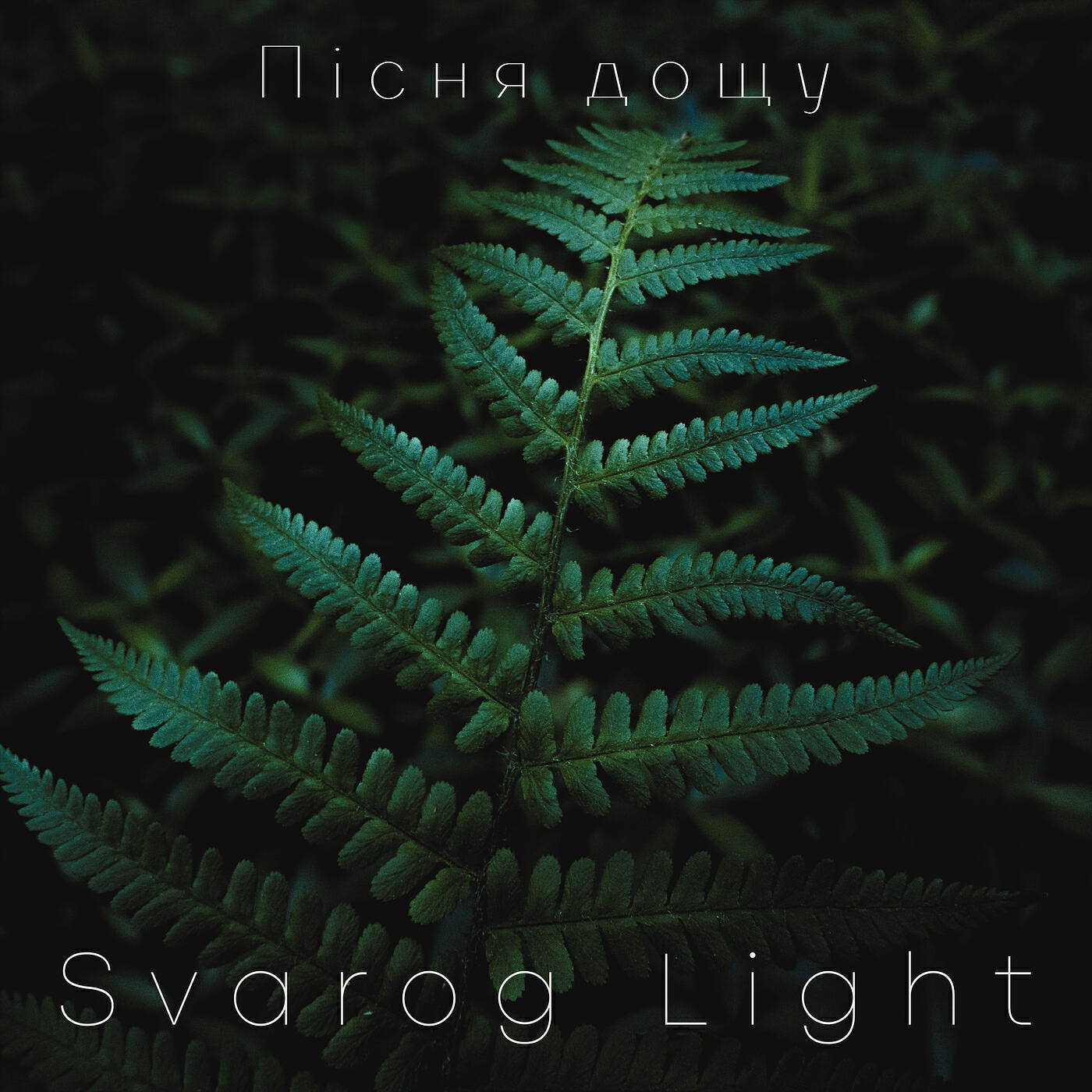 Релиз Пісня дощу