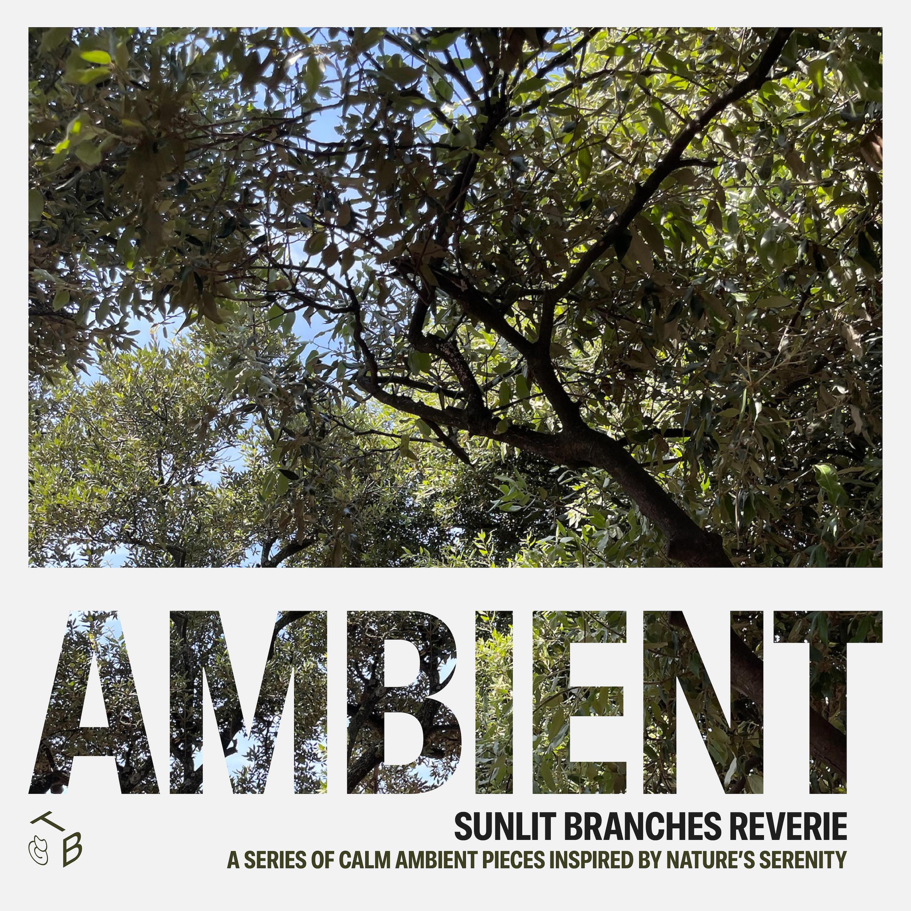 Релиз Sunlit Branches Reverie