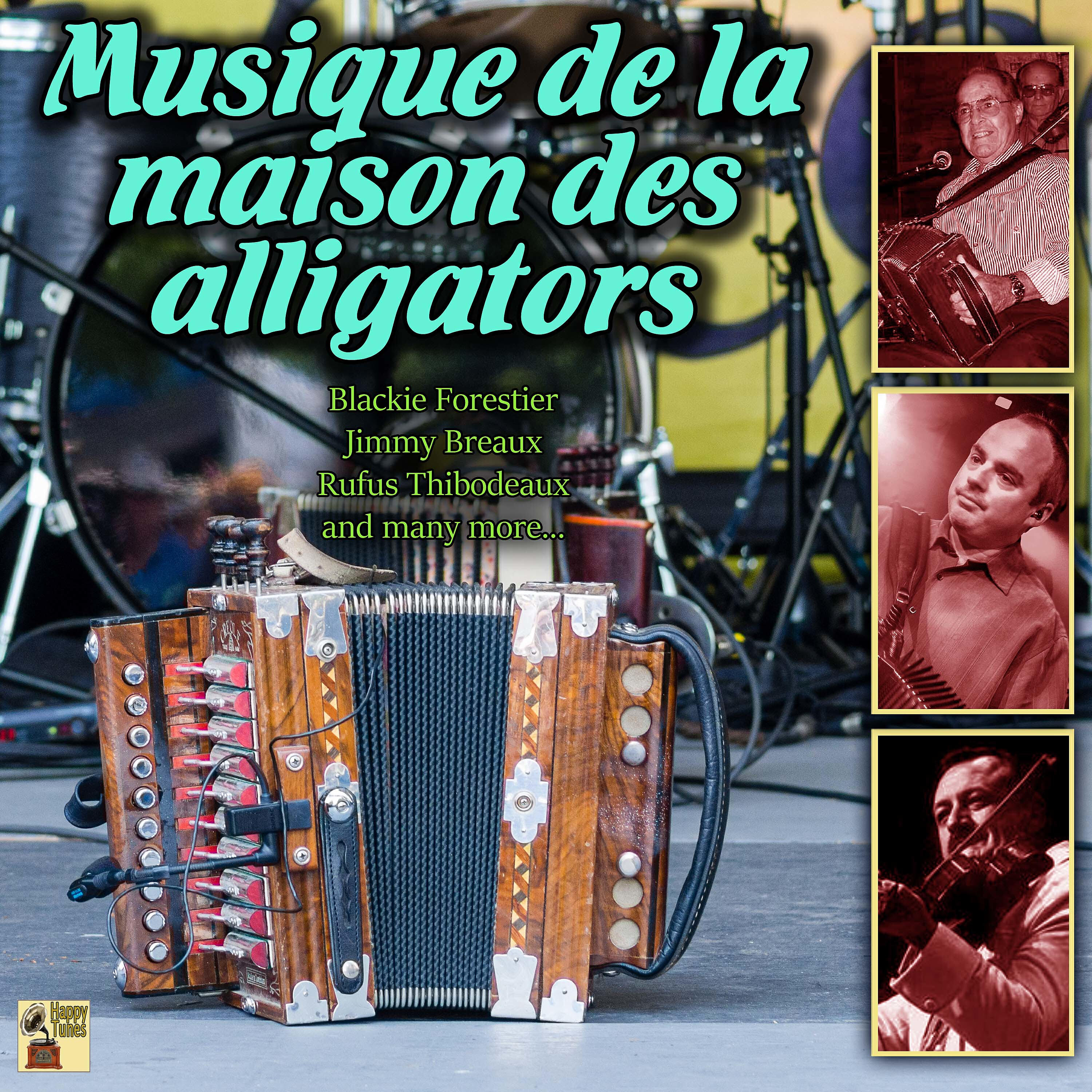 Постер альбома Musique de la maison des alligators
