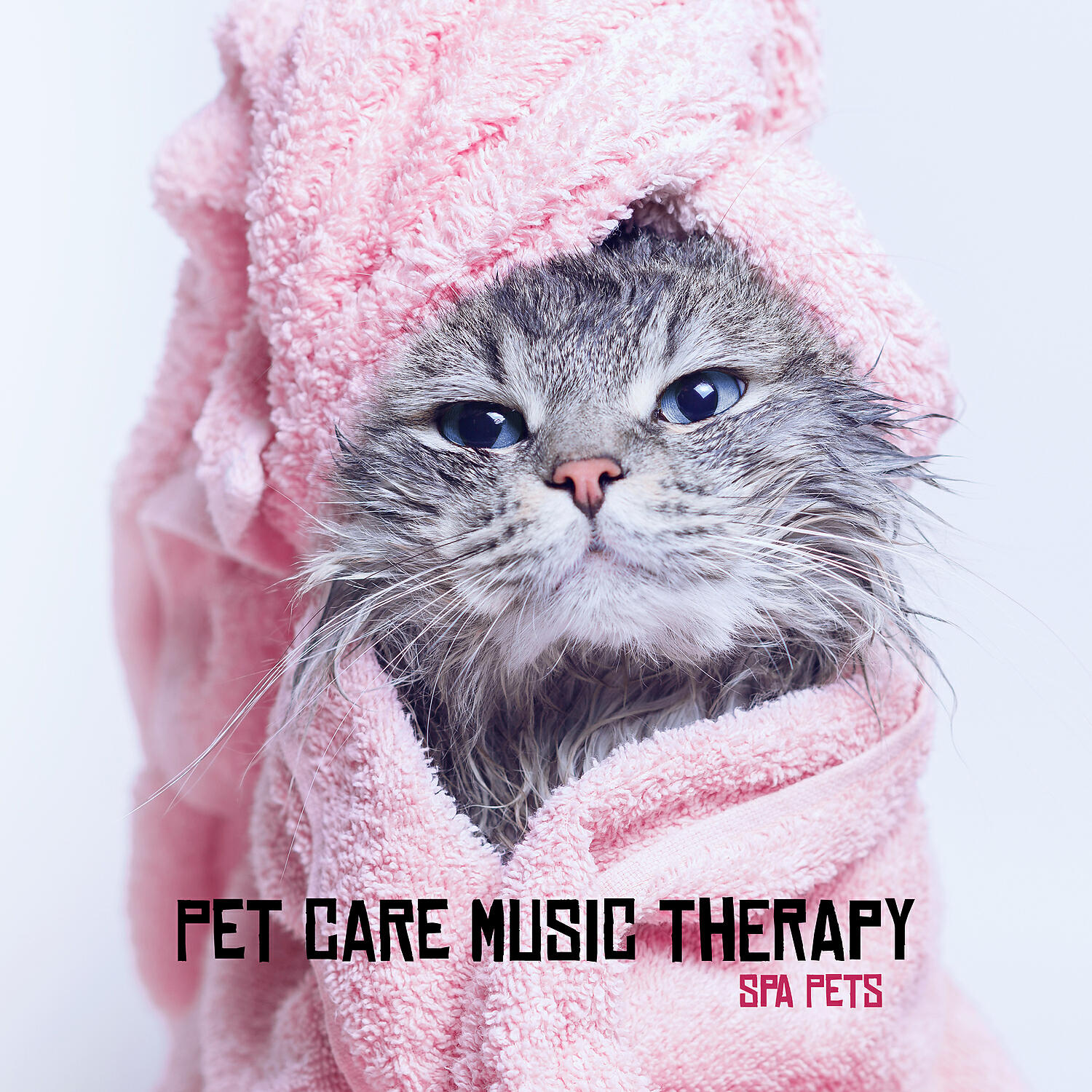 Релиз Pet Care Music Therapy: Spa Pets - Relaxing Music to Soothe and Comfort Pets and Help Calm