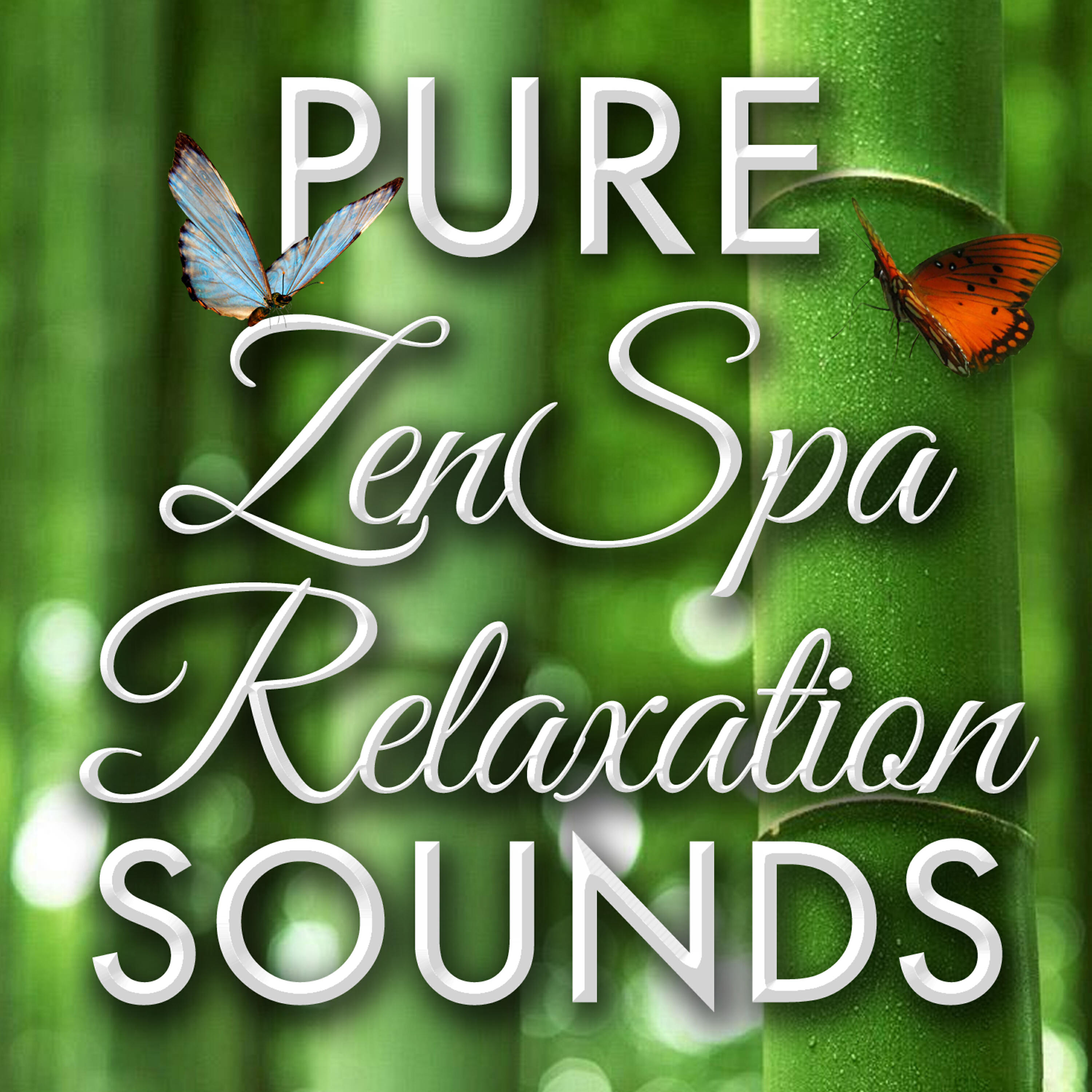 Релиз Pure Zen Spa Relaxation Sounds - Healthy Living Self-Improvement Spirituality Overcoming Empowerment & Chill