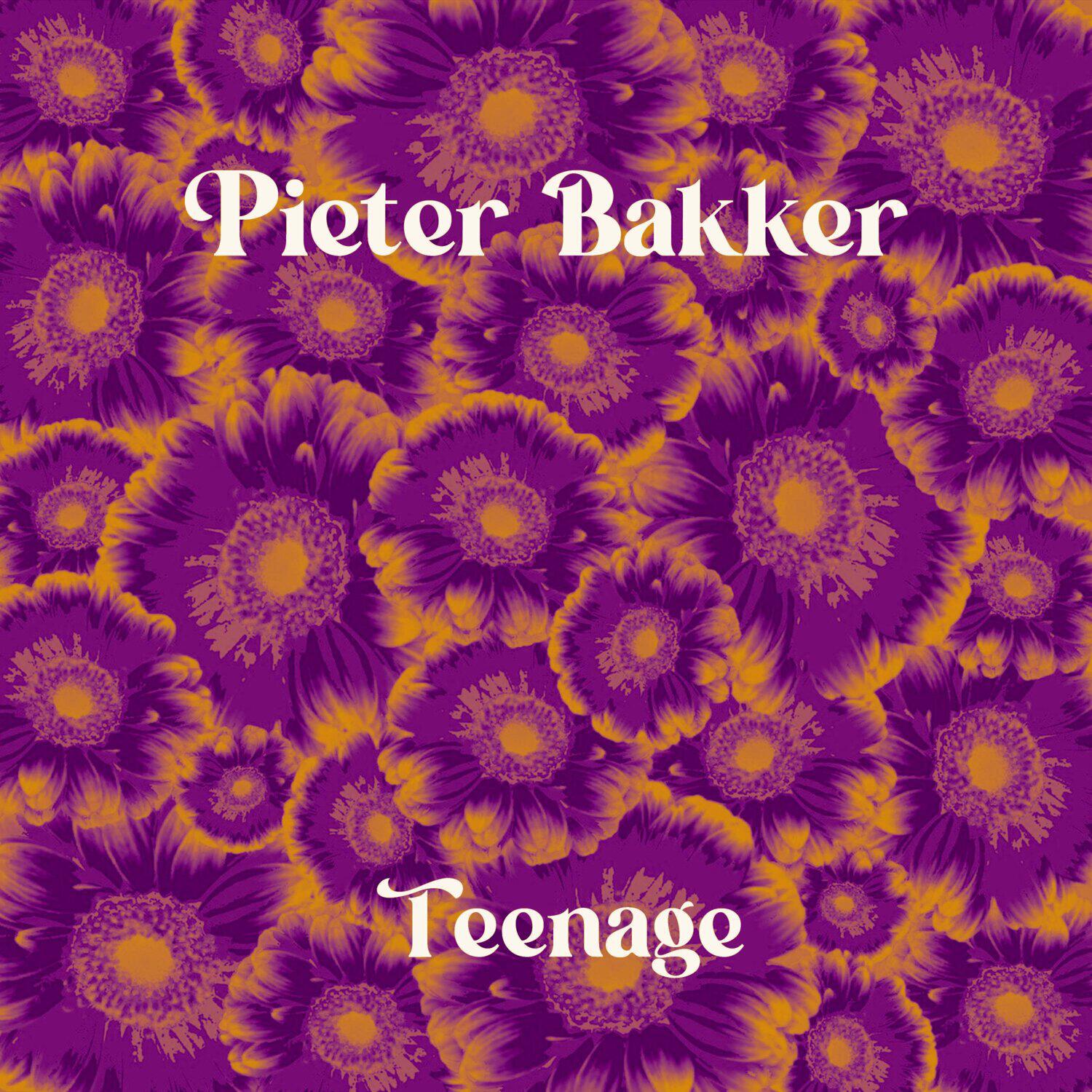 Pieter Bakker