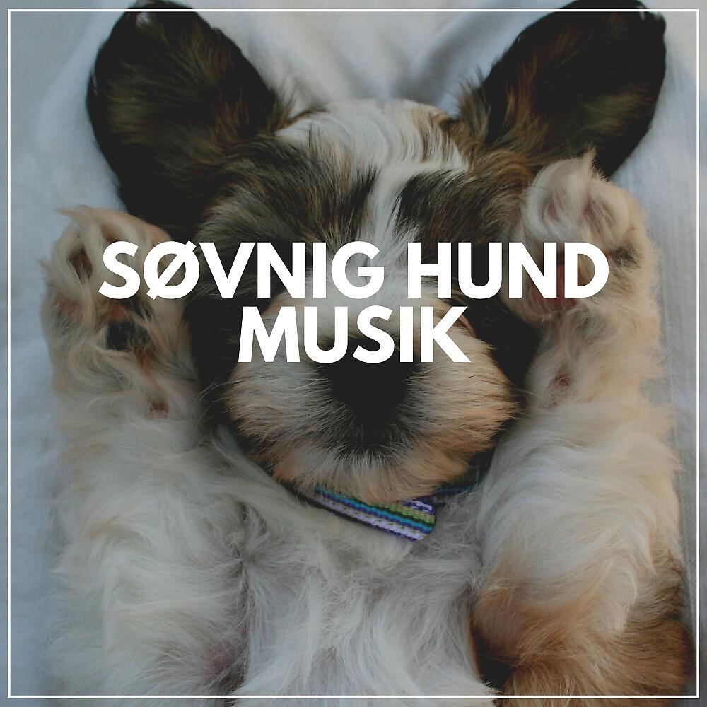 Релиз Søvnig Hund Musik