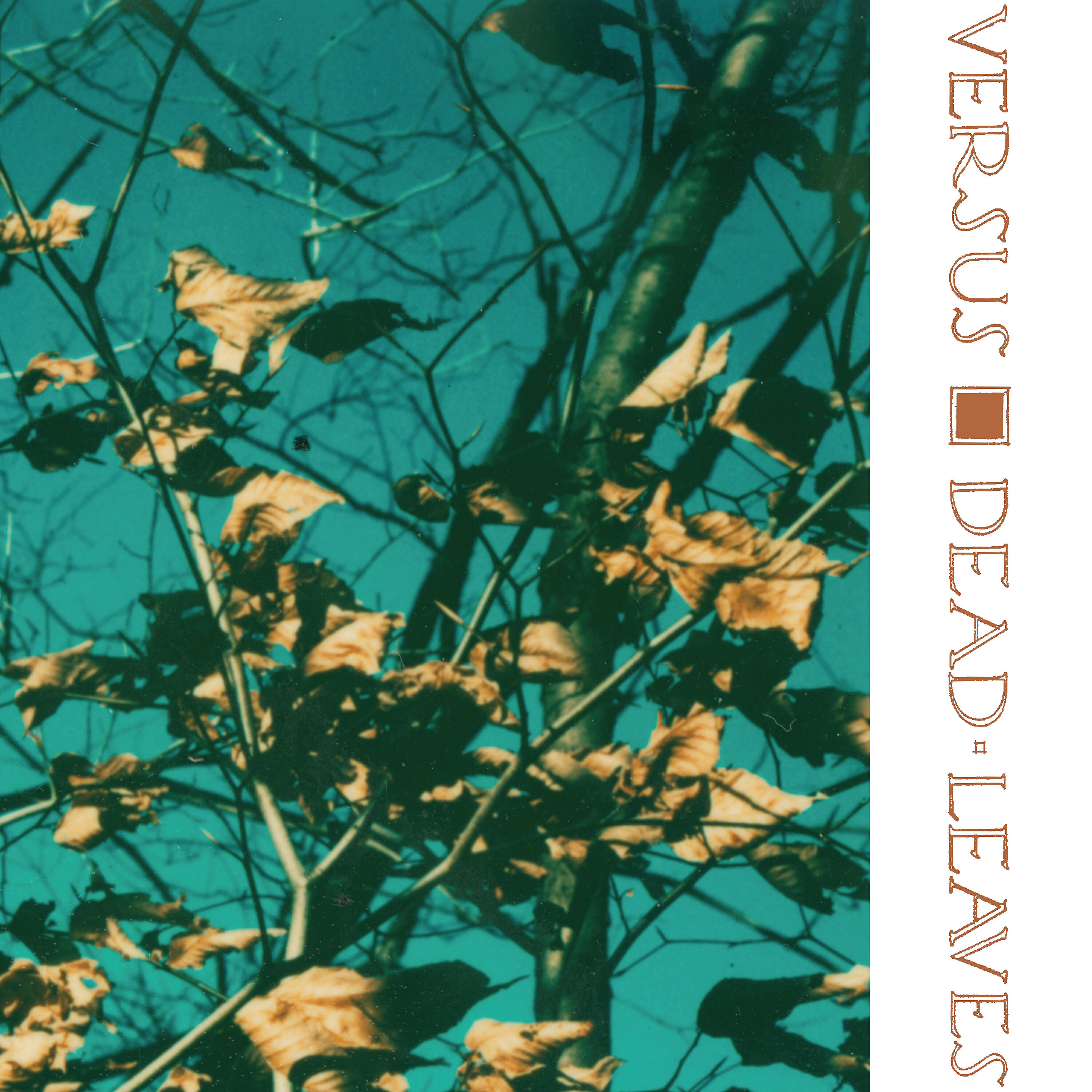Релиз Dead Leaves
