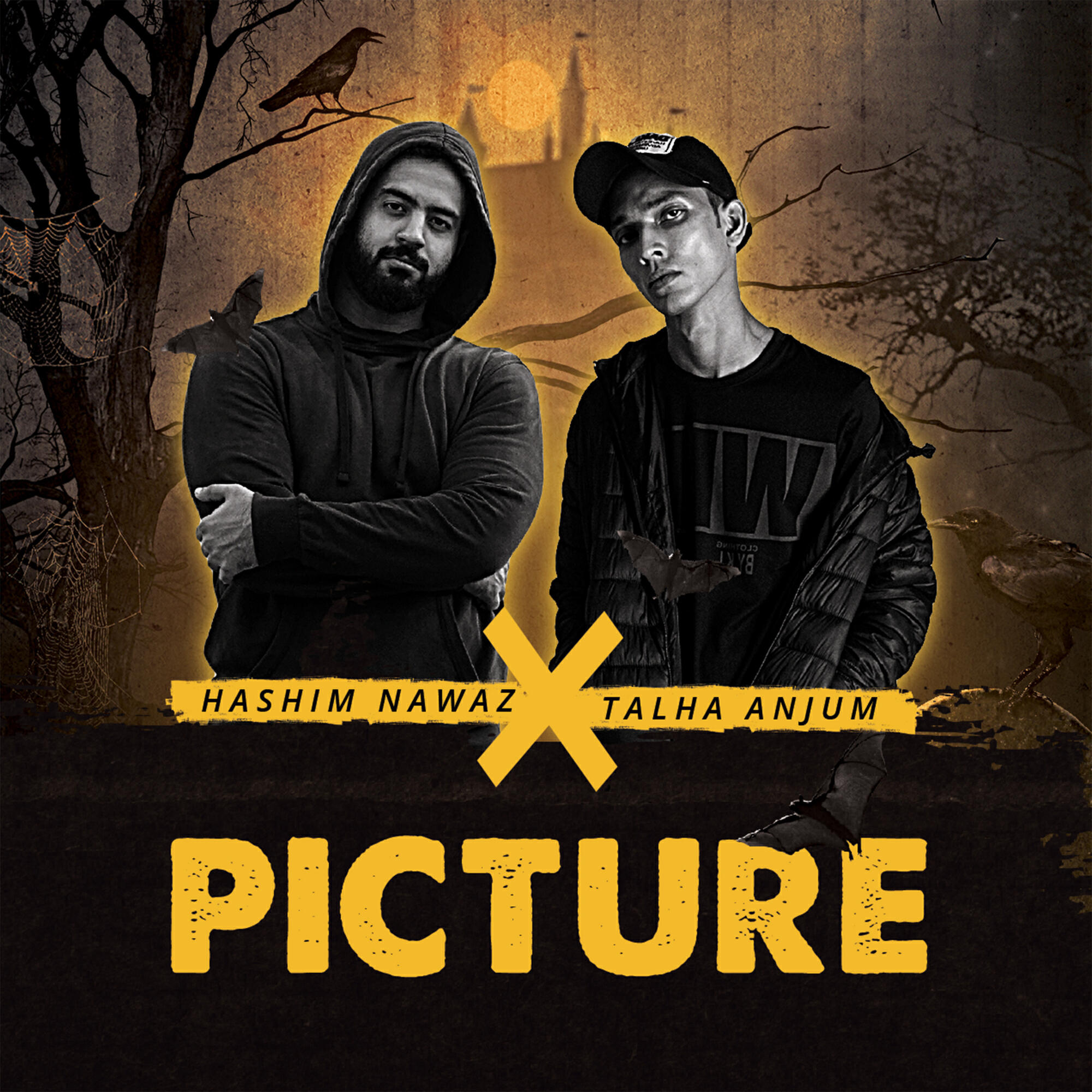 Релиз Picture