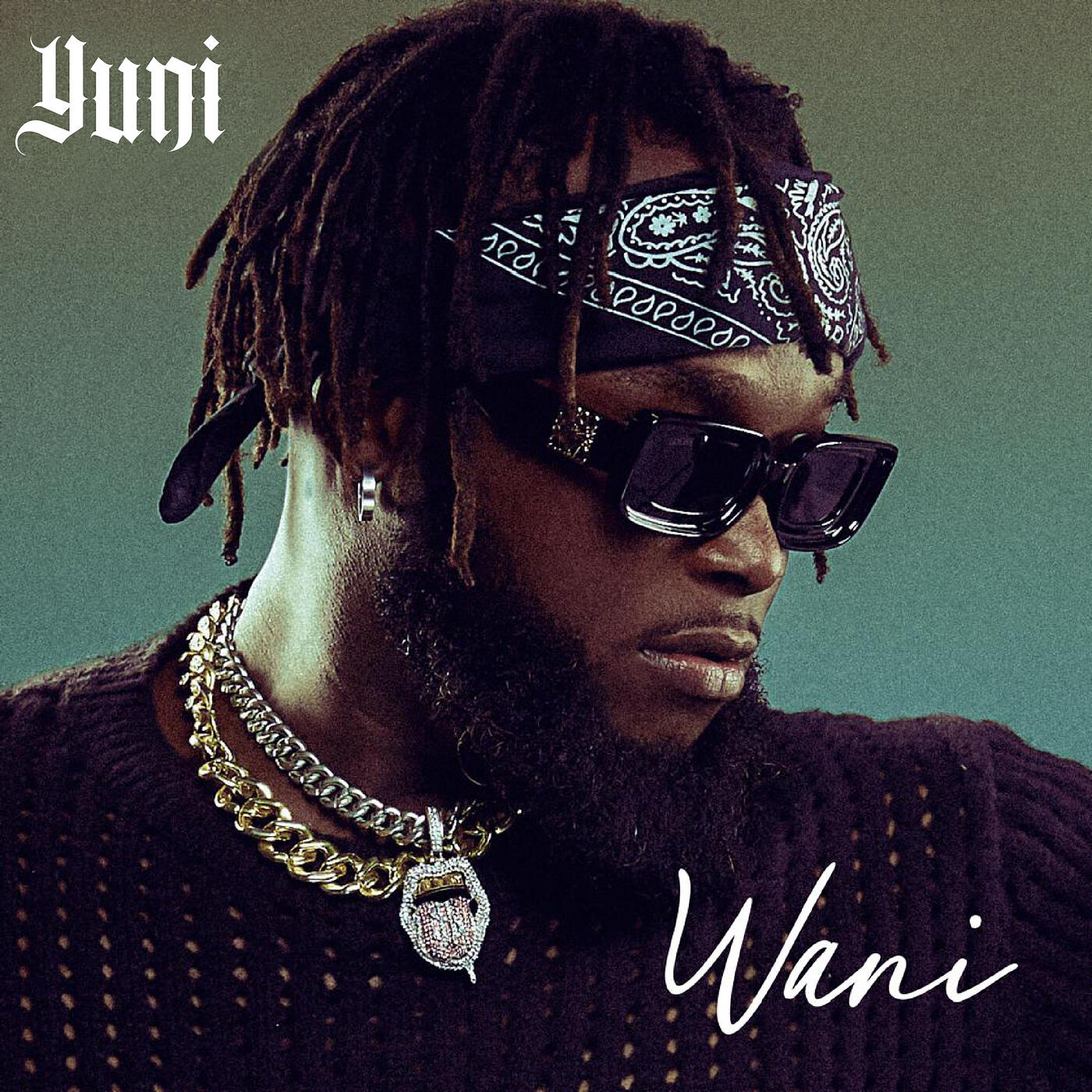Релиз Wani