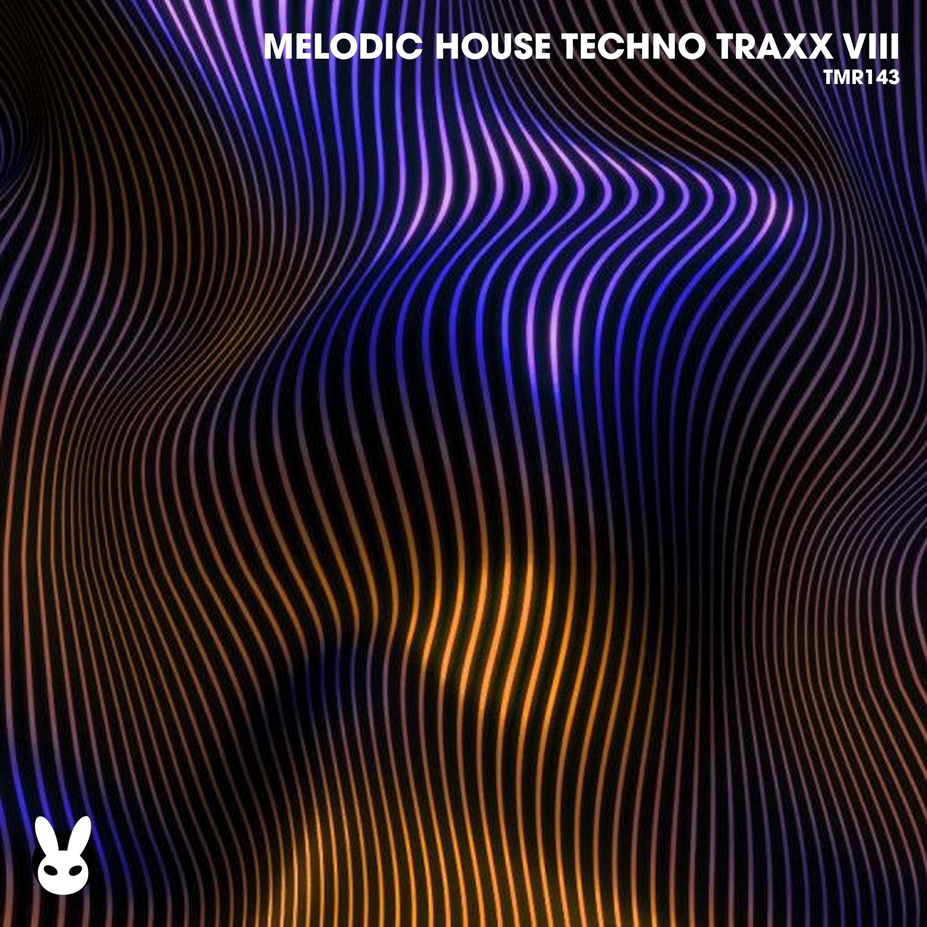 Релиз Melodic House Techno Traxx Viii