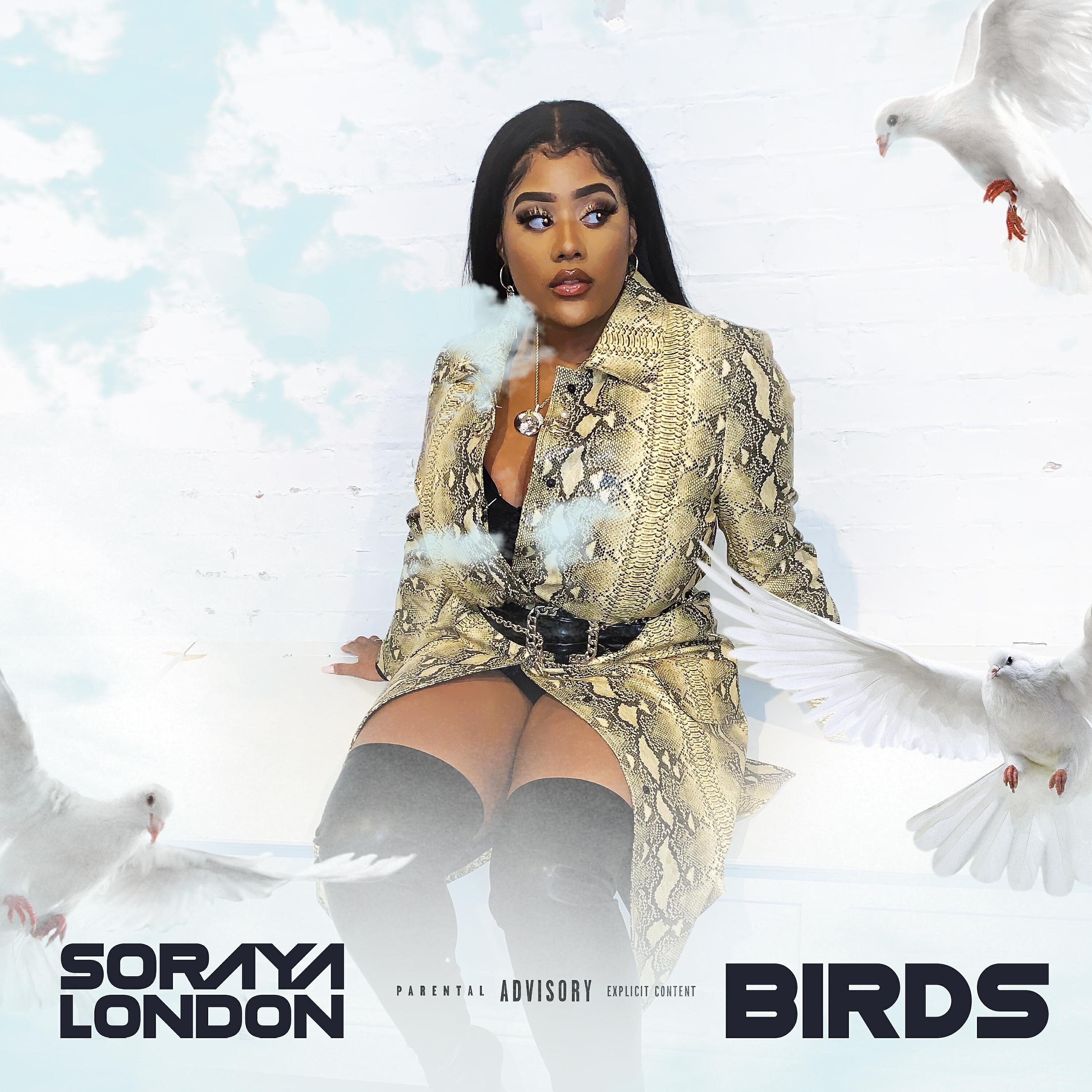 Релиз Birds