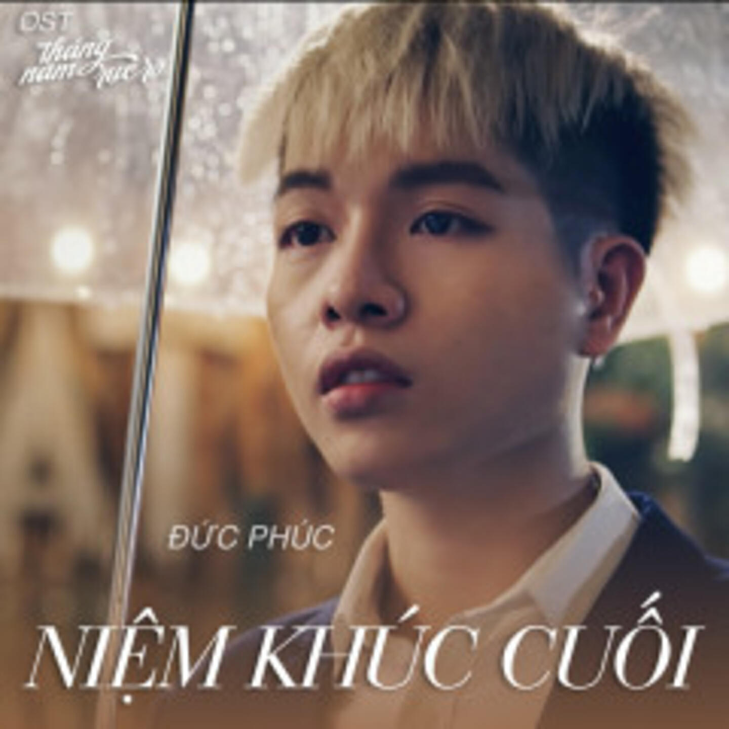 Релиз Niệm Khúc Cuối