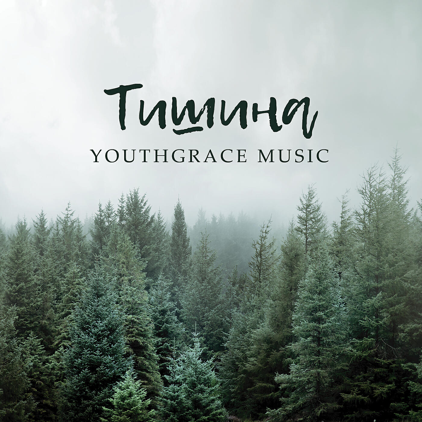 Релиз Тишина