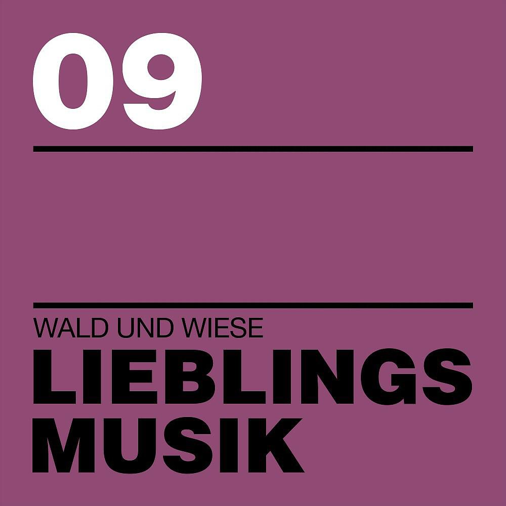 Релиз Lieblingsmusik 09
