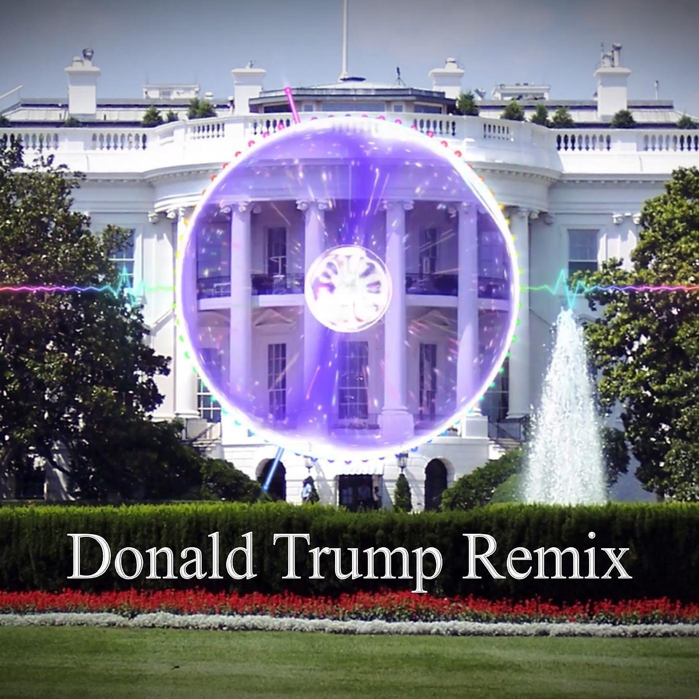 Постер альбома Donald Trump Remix