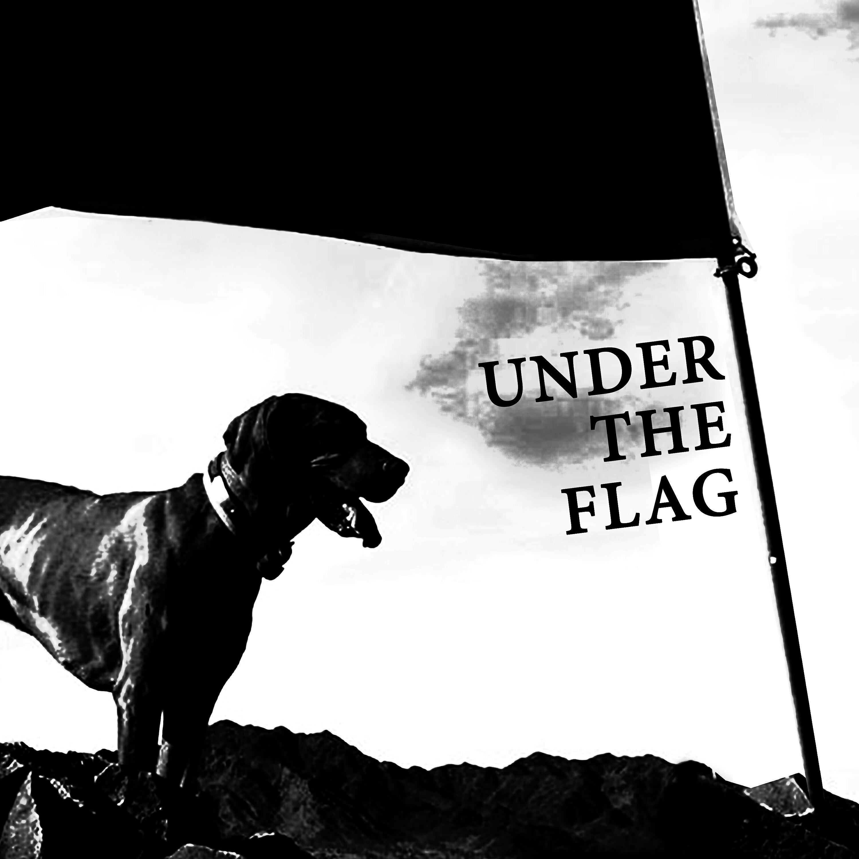 Релиз Under the Flag