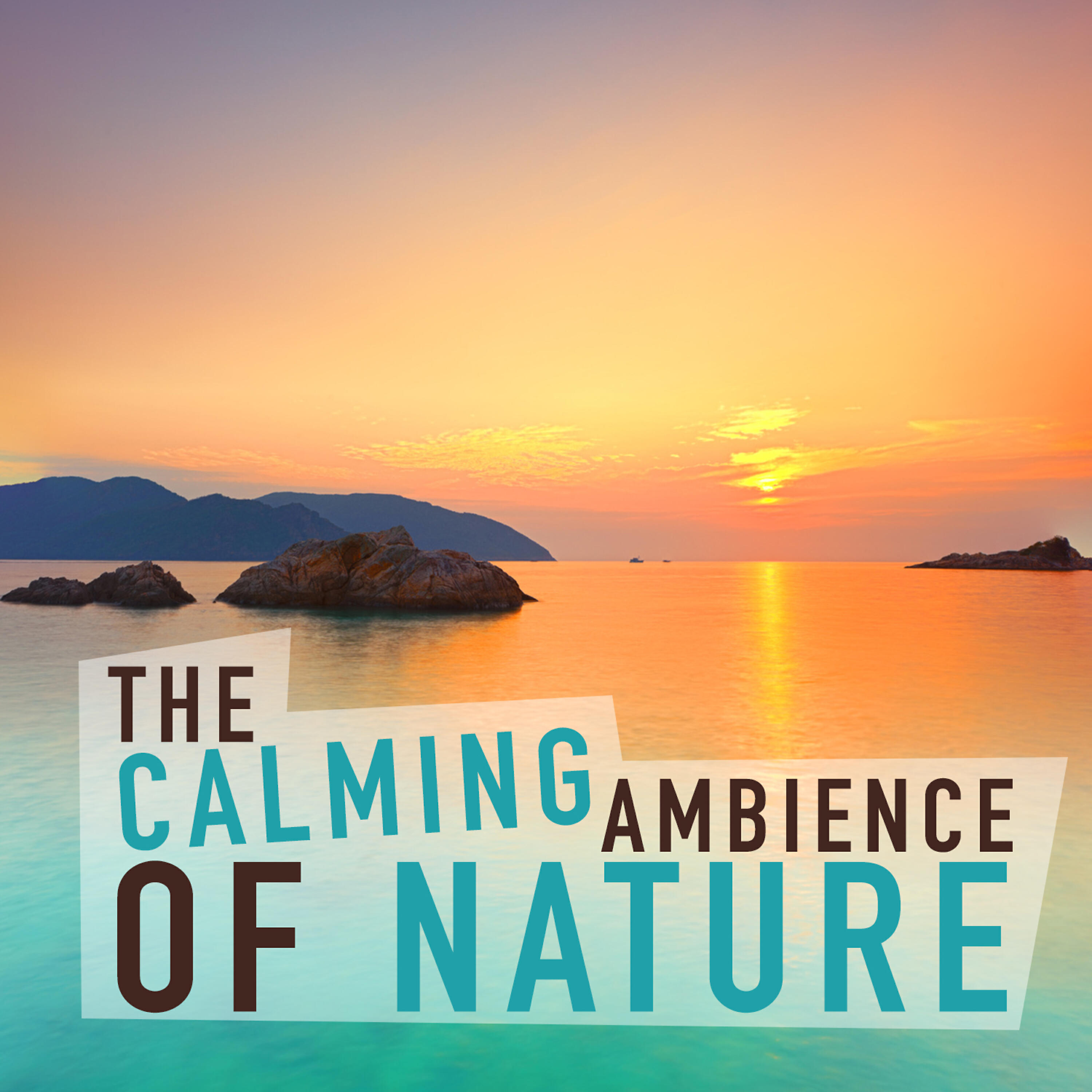 Постер альбома The Calming Ambience of Nature