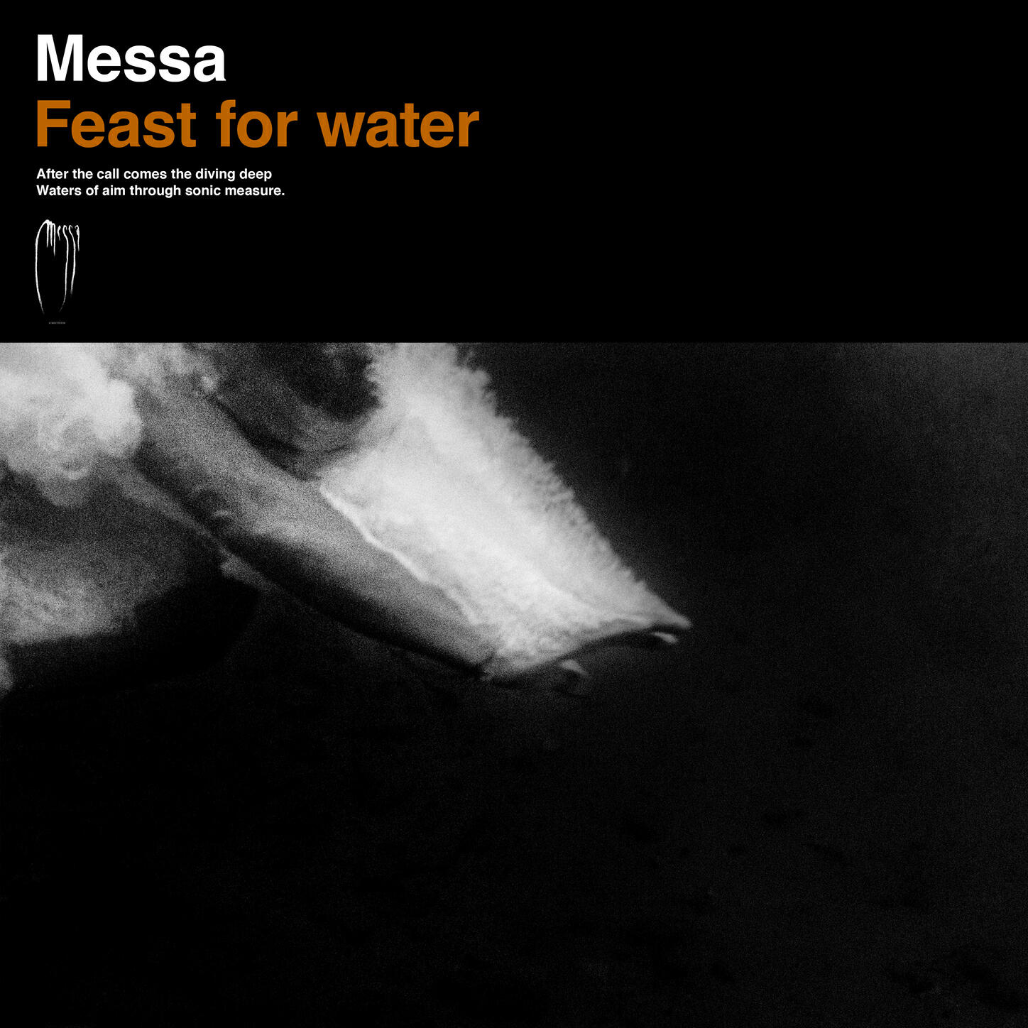 Релиз Feast for Water