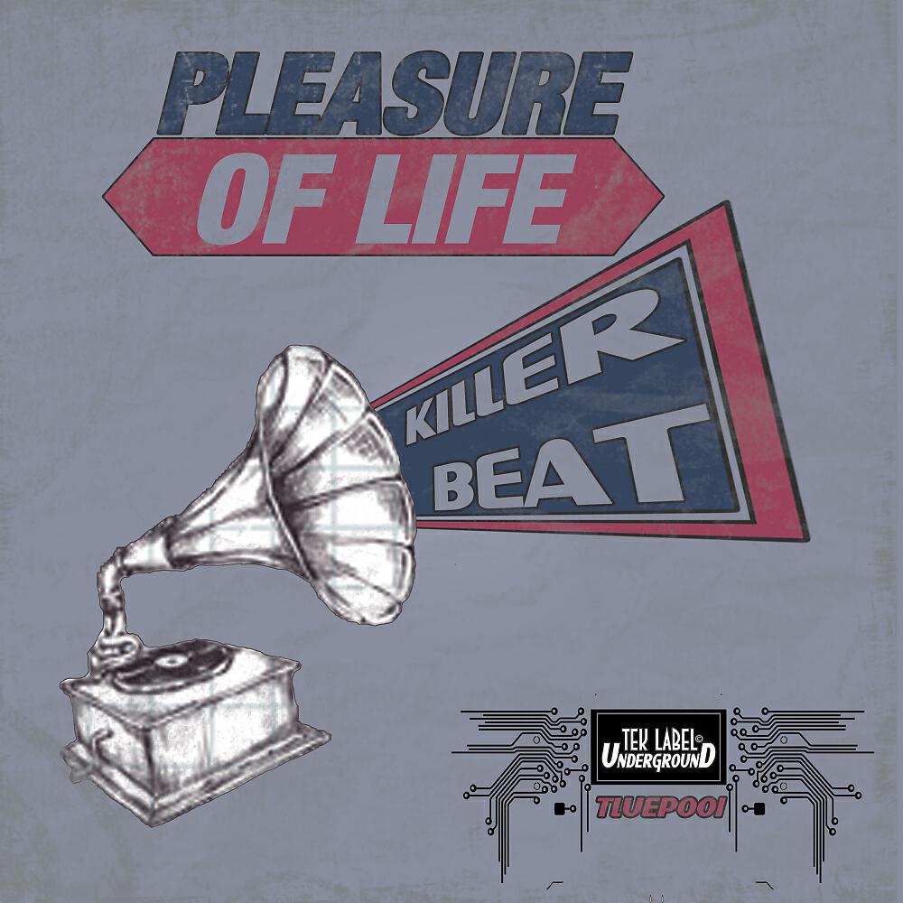 Релиз Pleasure Of Life