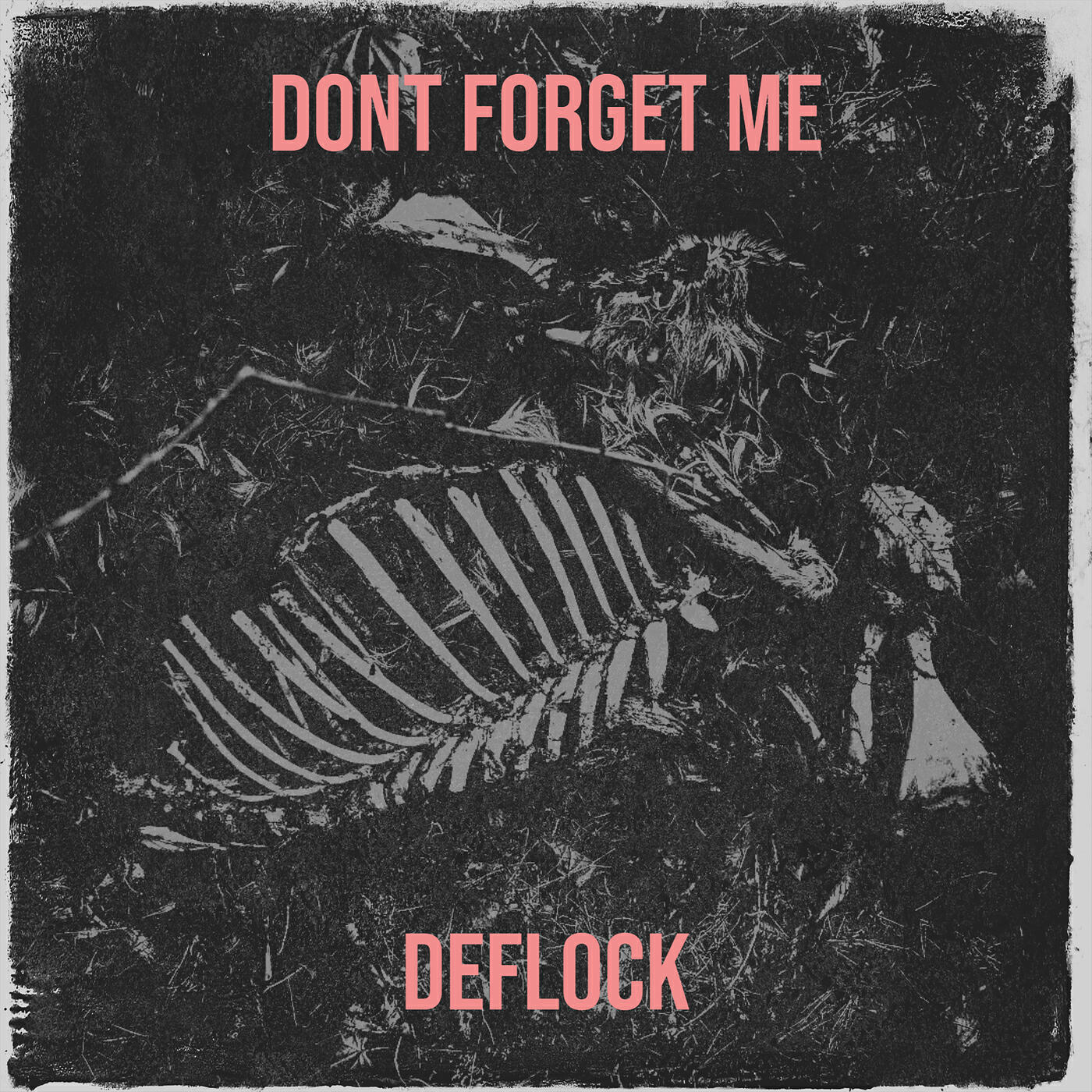 Релиз Dont Forget Me