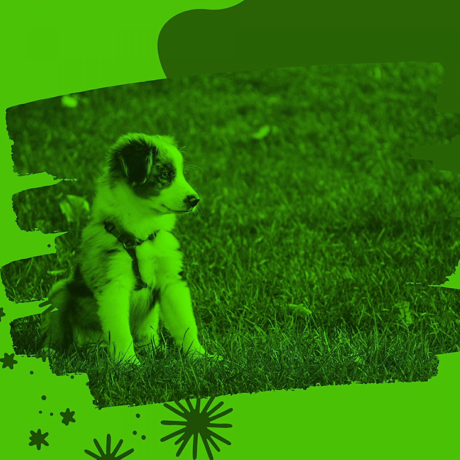 Релиз Ambiance for Energetic Dogs
