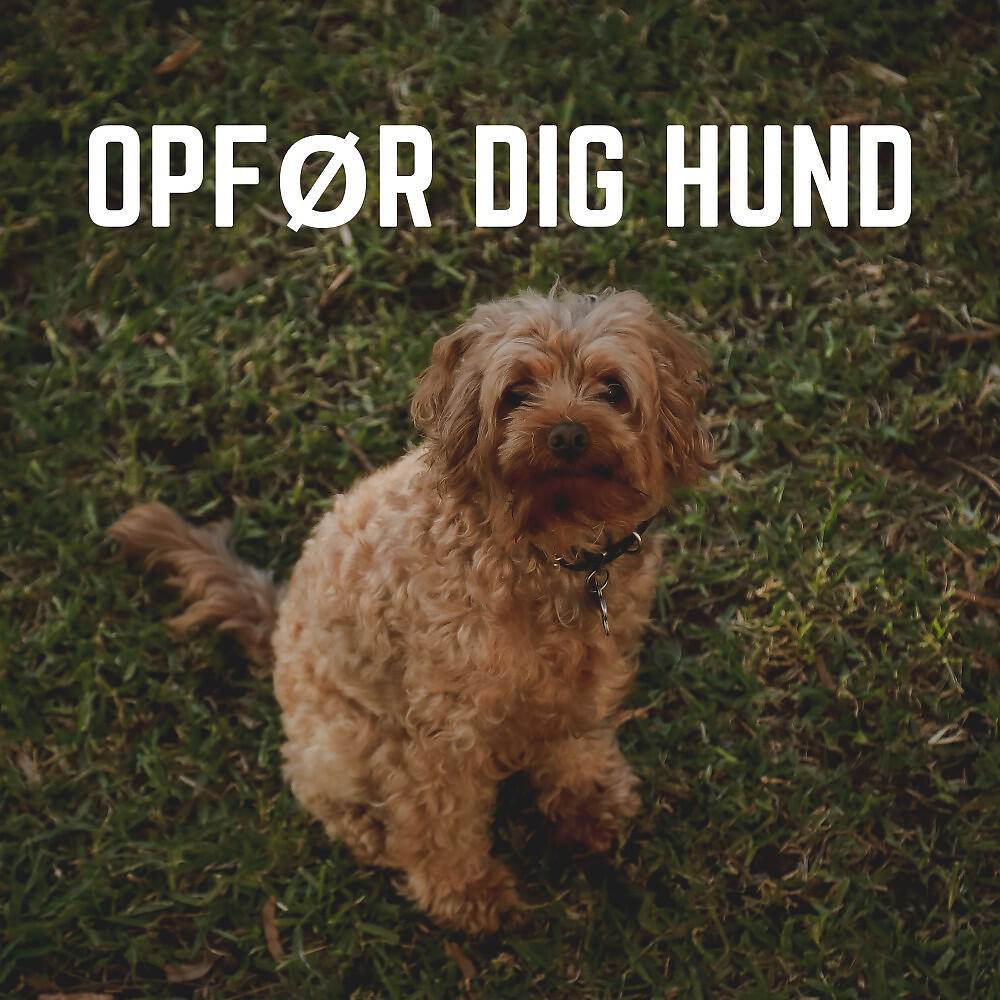 Релиз Opfør Dig Hund