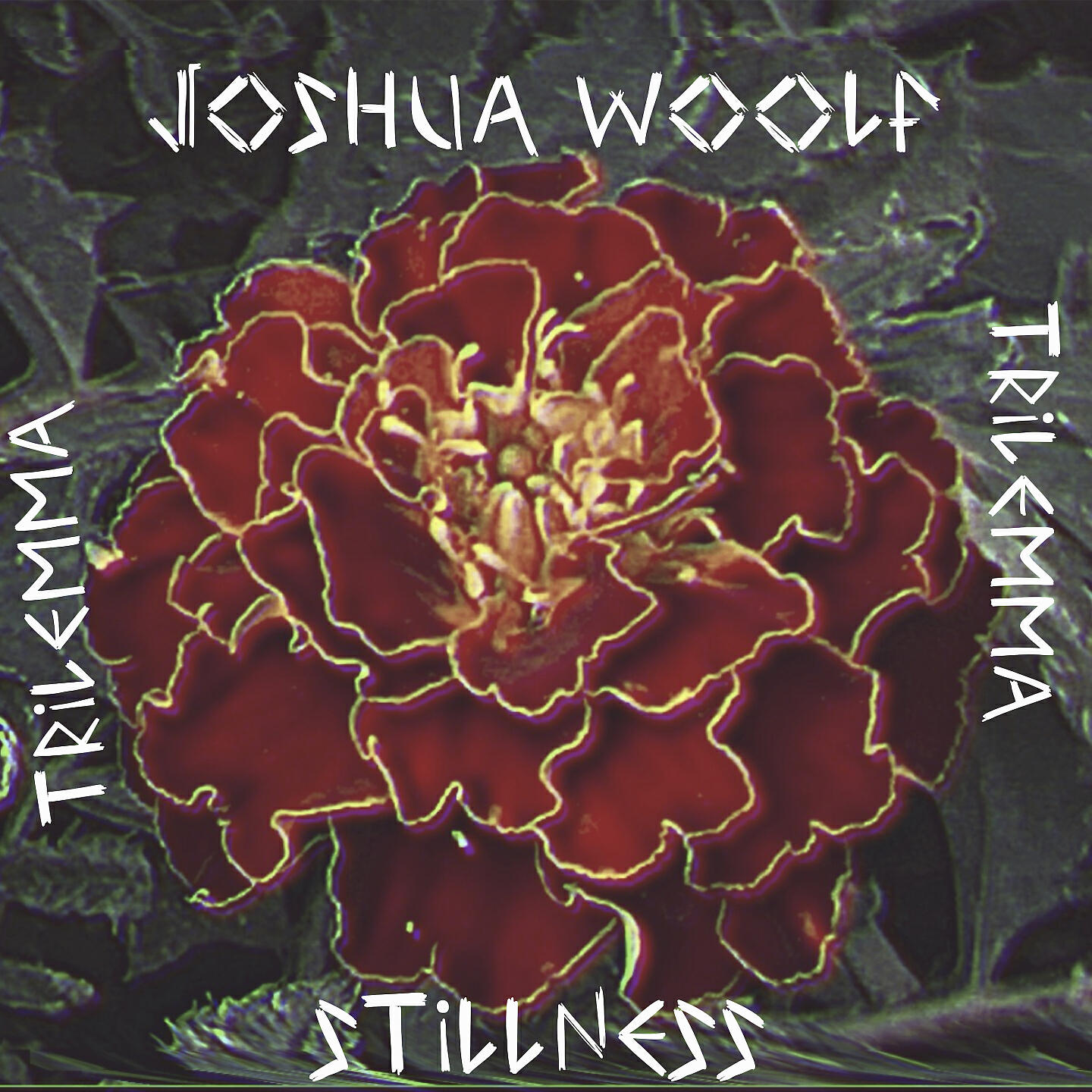 Релиз Stillness