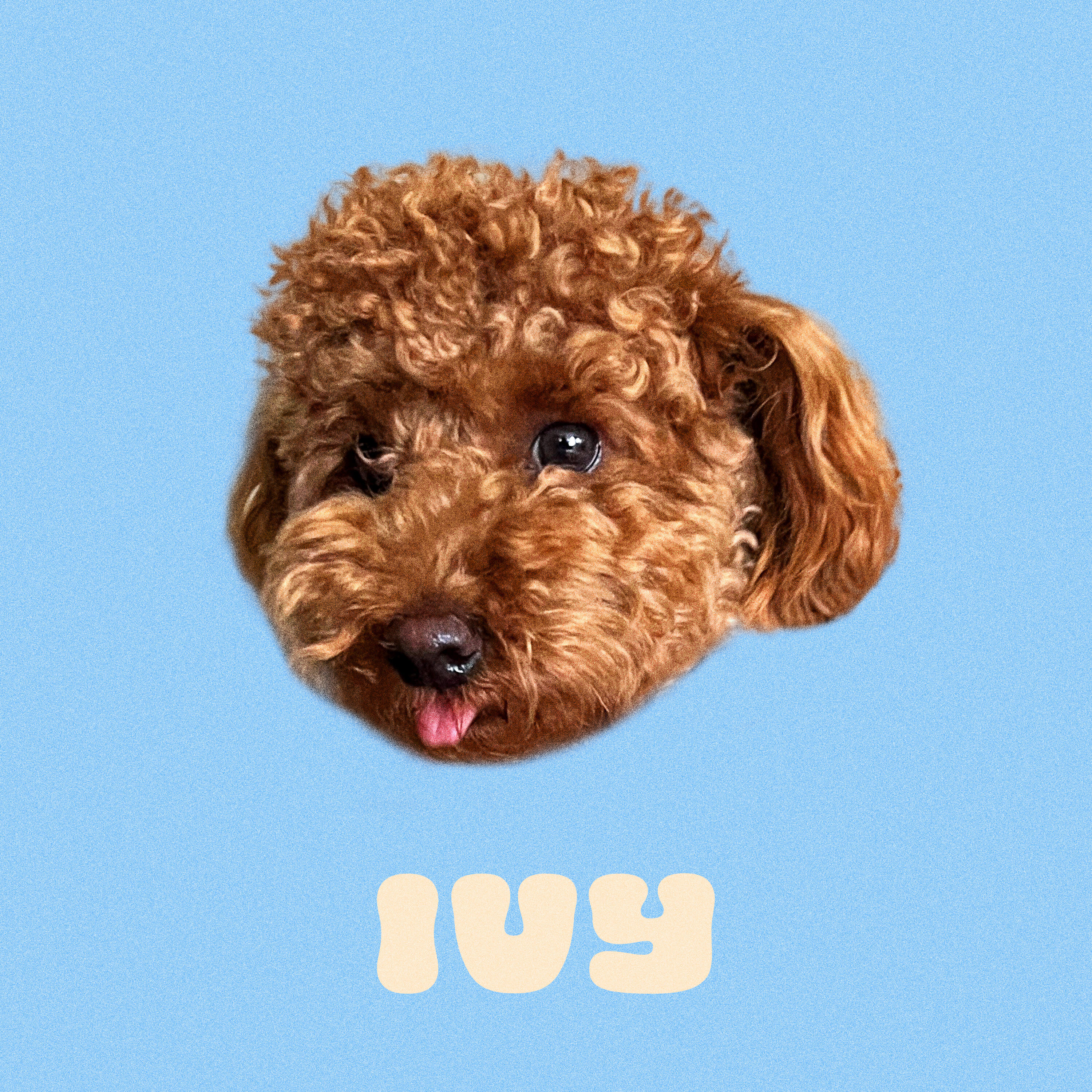 Скачать песню Smuv, Made In M - Cave Canem бесплатно в MP3 для Android и iOS