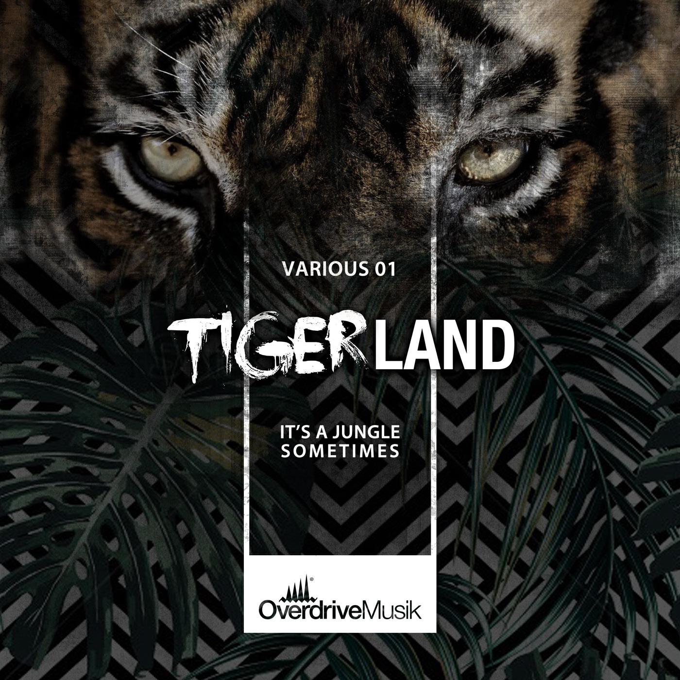 Релиз Tigerland 01