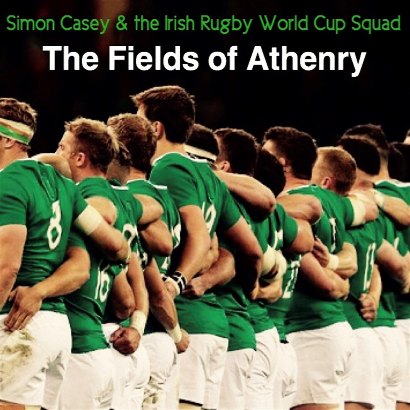 Irish Rugby World Cup Squad