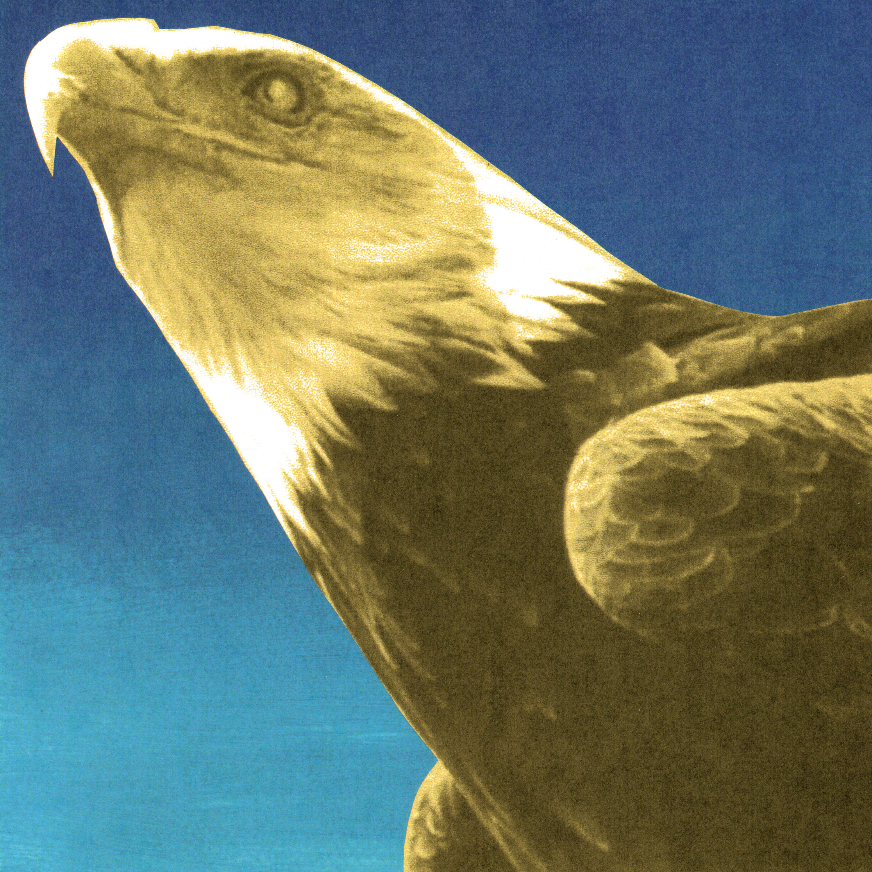Релиз Exalted Eagles