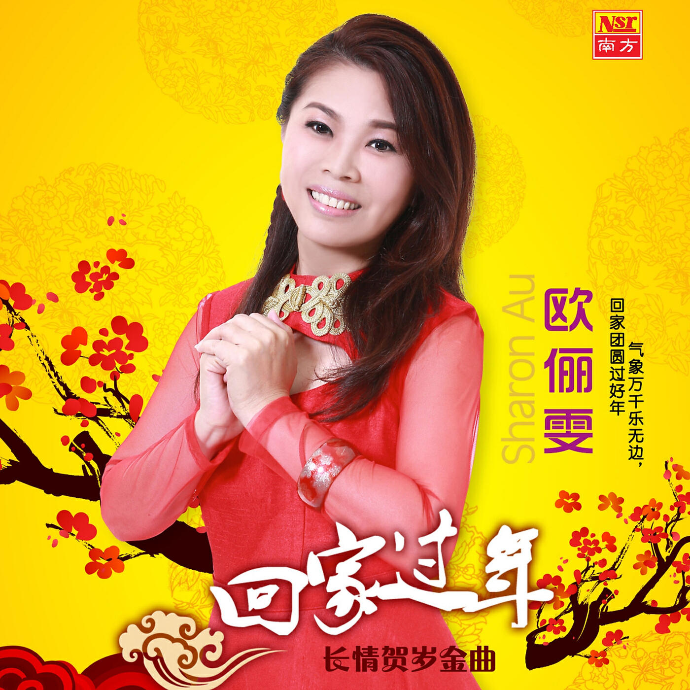 Релиз Hui Jia Guo Nian