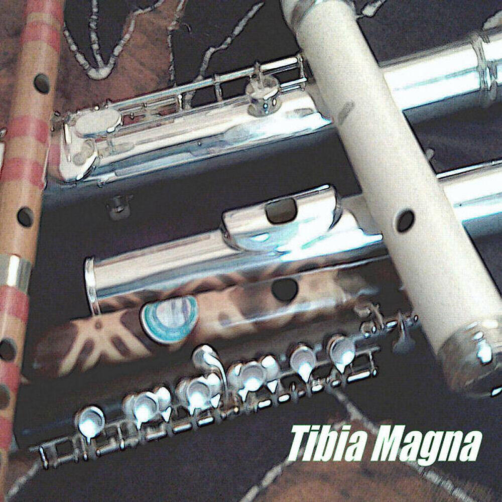 Tibia Magna