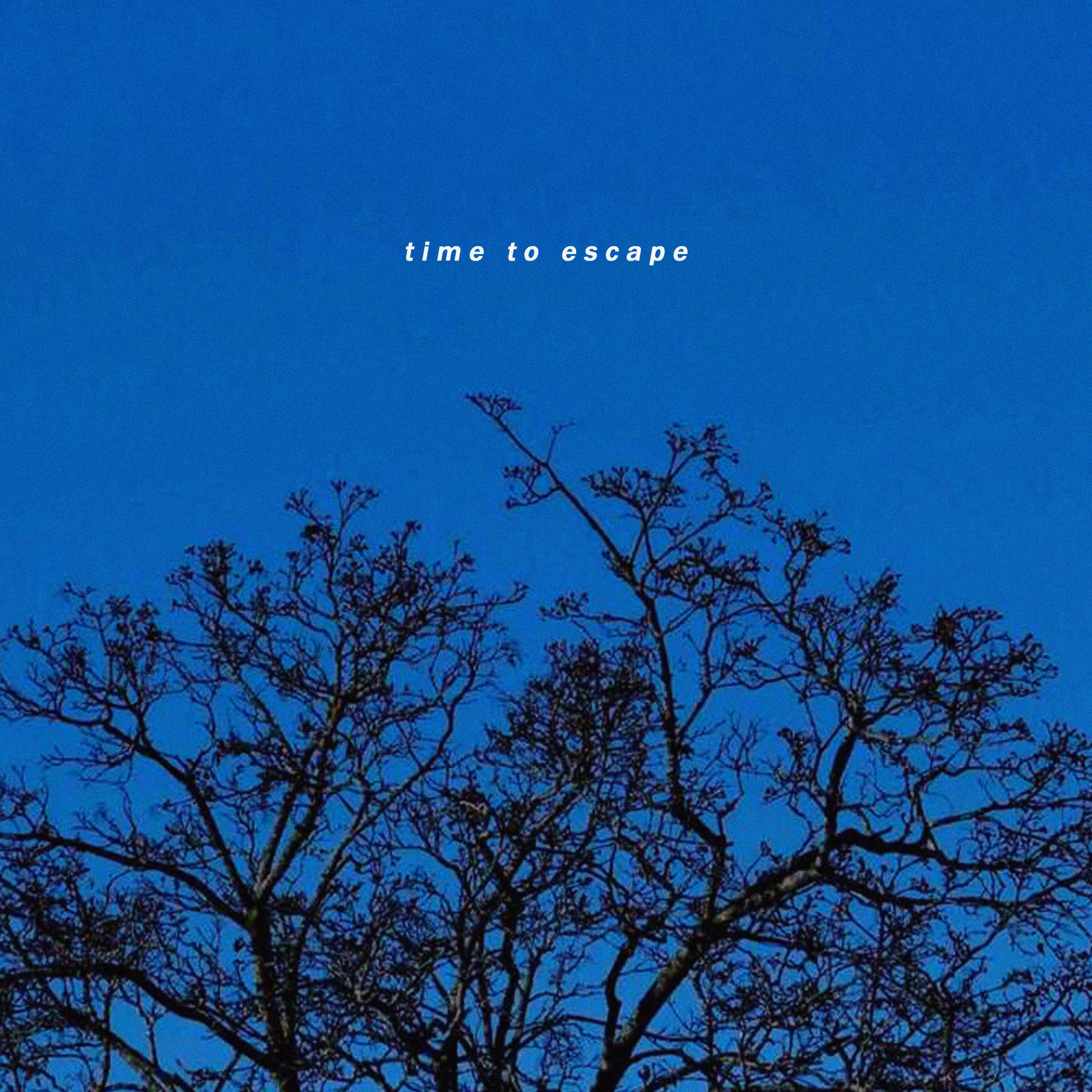 Релиз time to escape