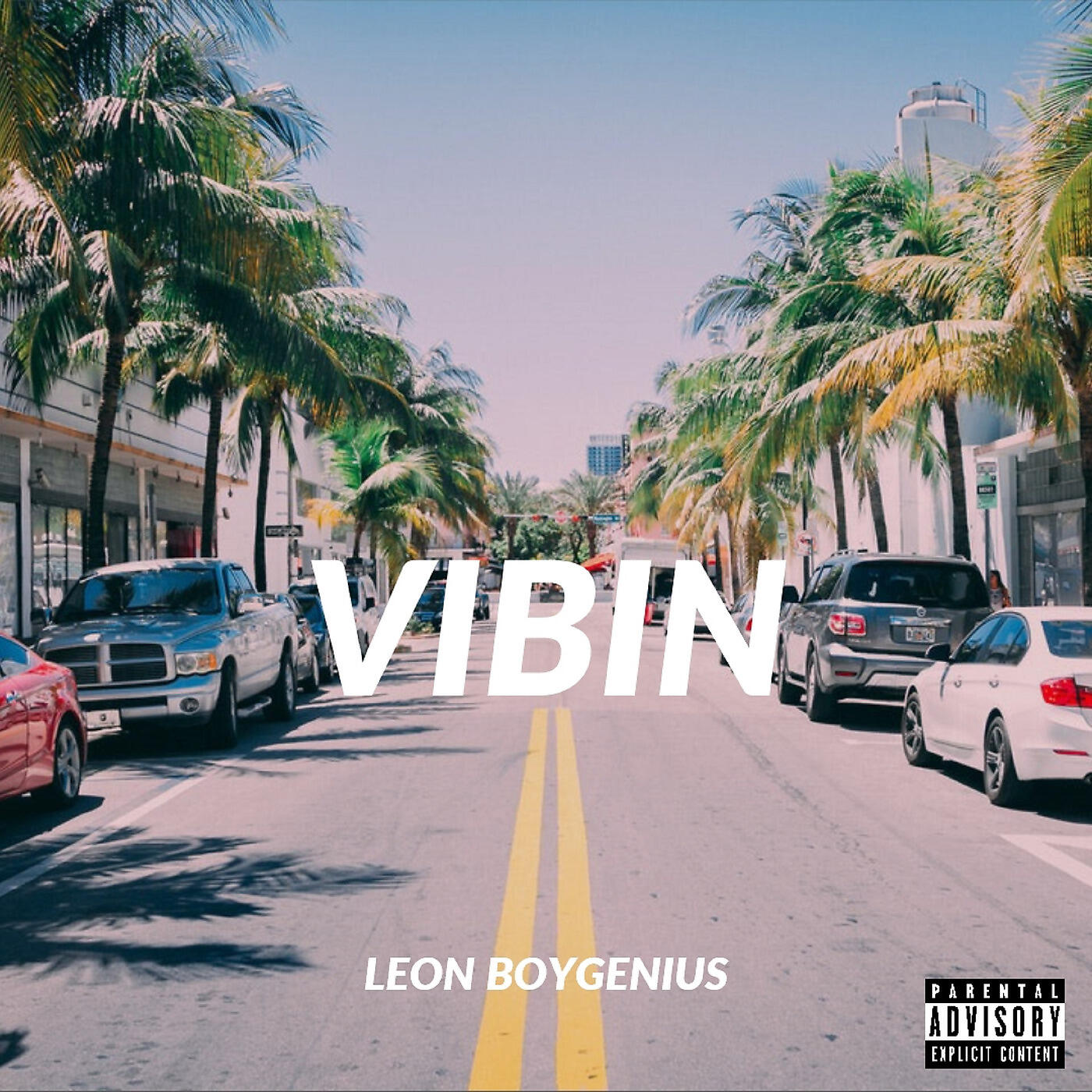 Релиз Vibin