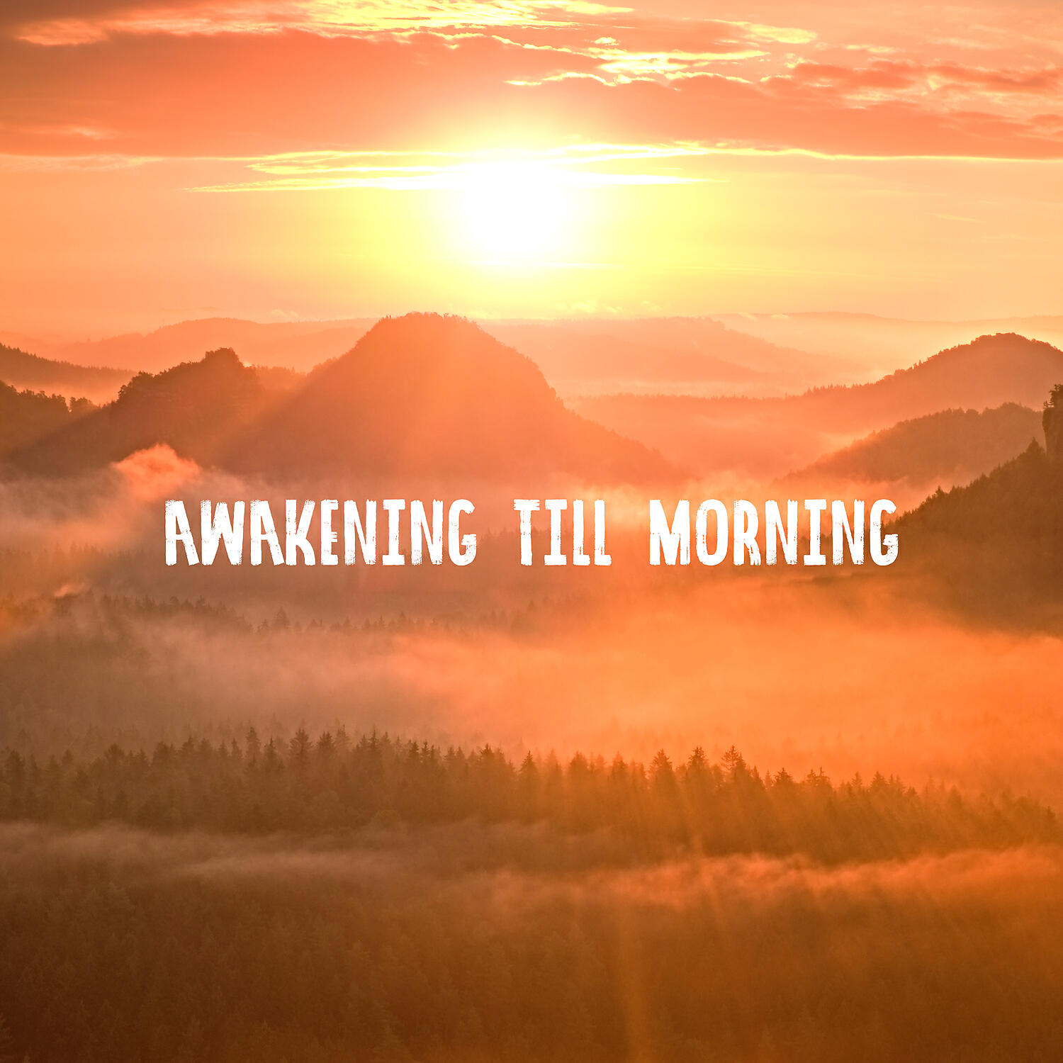 Релиз Awakening Till Morning: Making Love Music