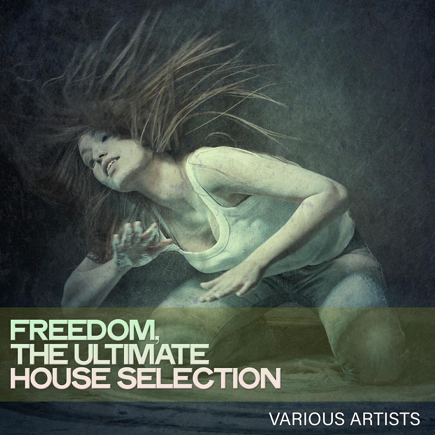 Релиз Freedom, the Ultimate House Selection