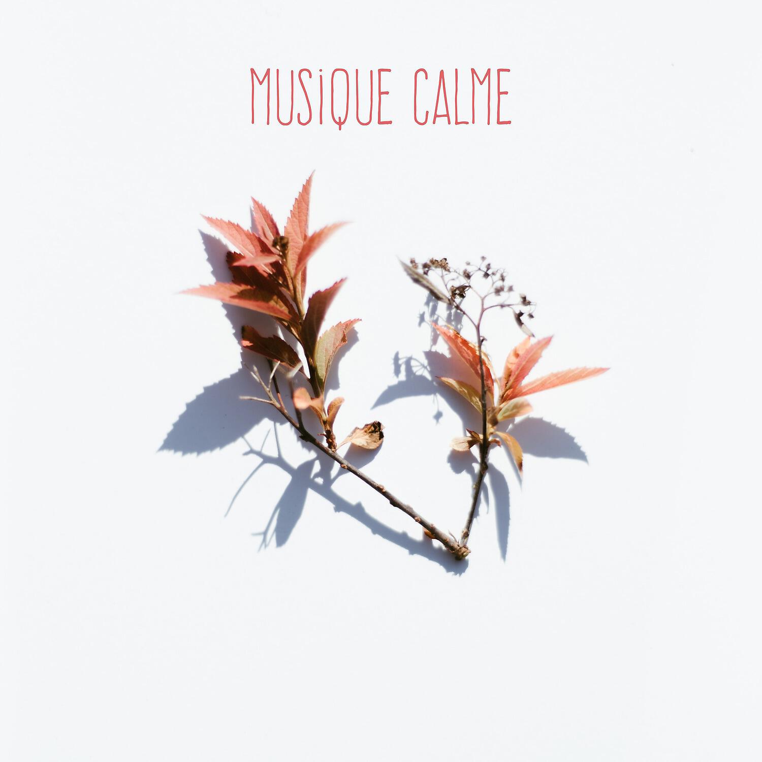 Релиз Musique Calme