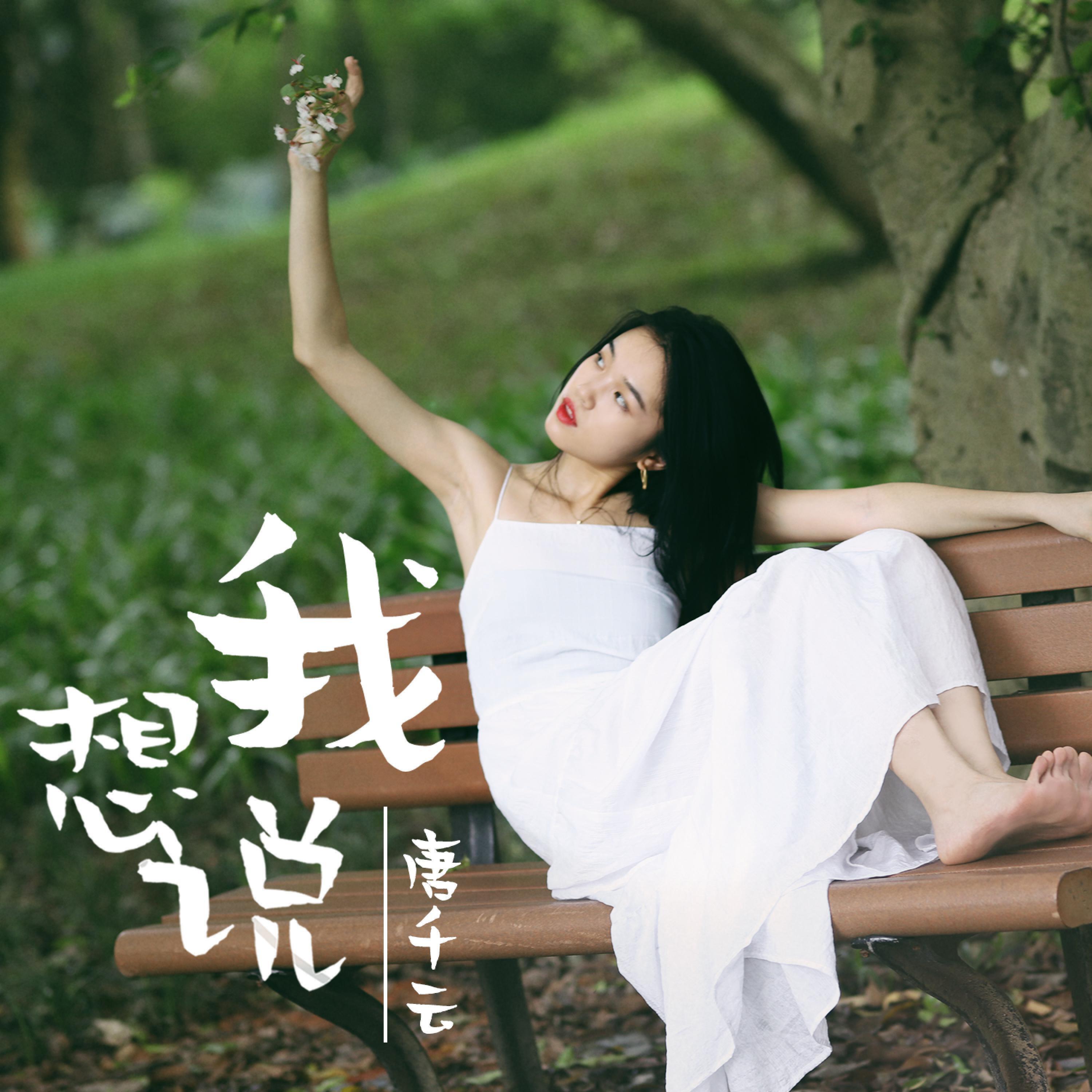 Релиз 我想说