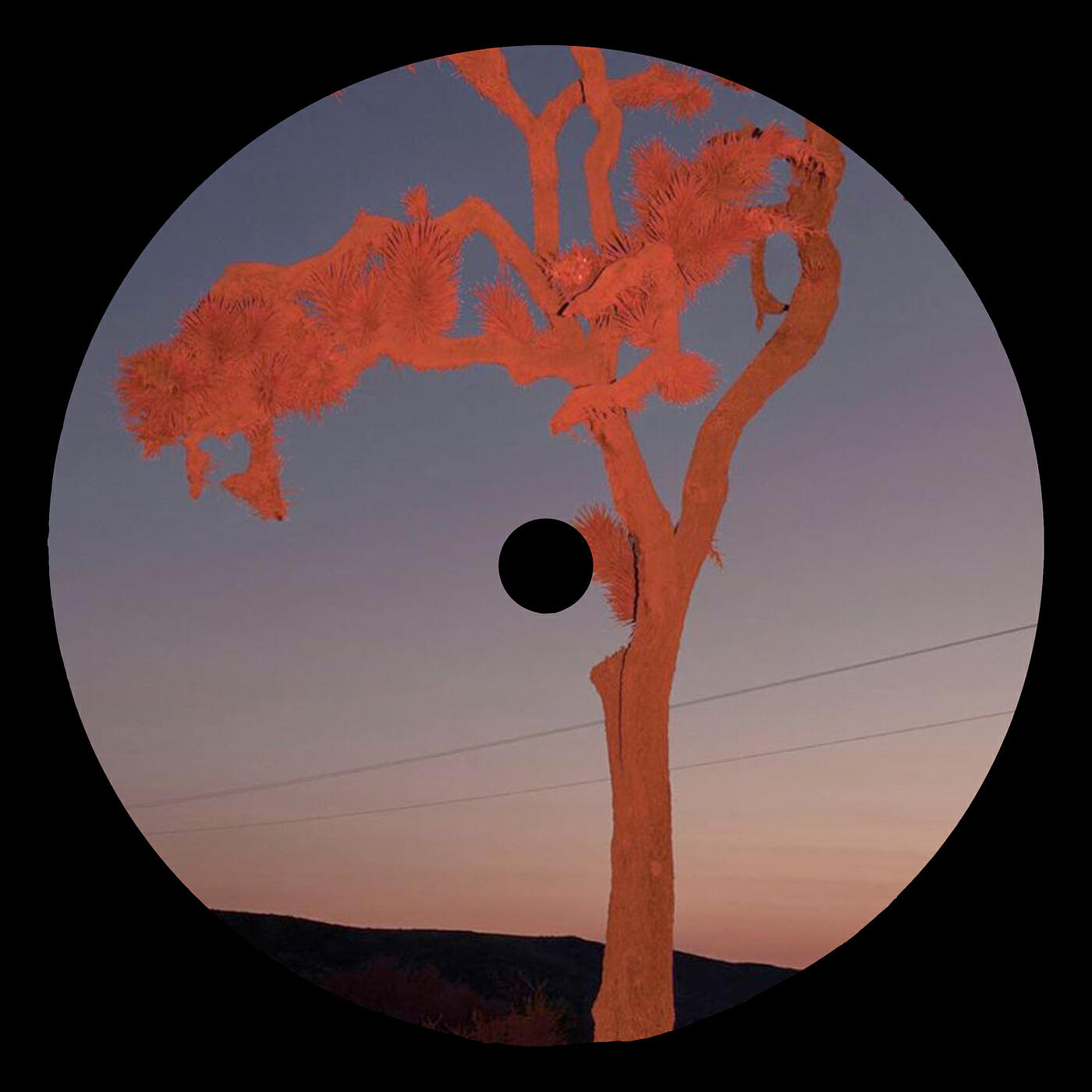 Релиз Crimson Tides