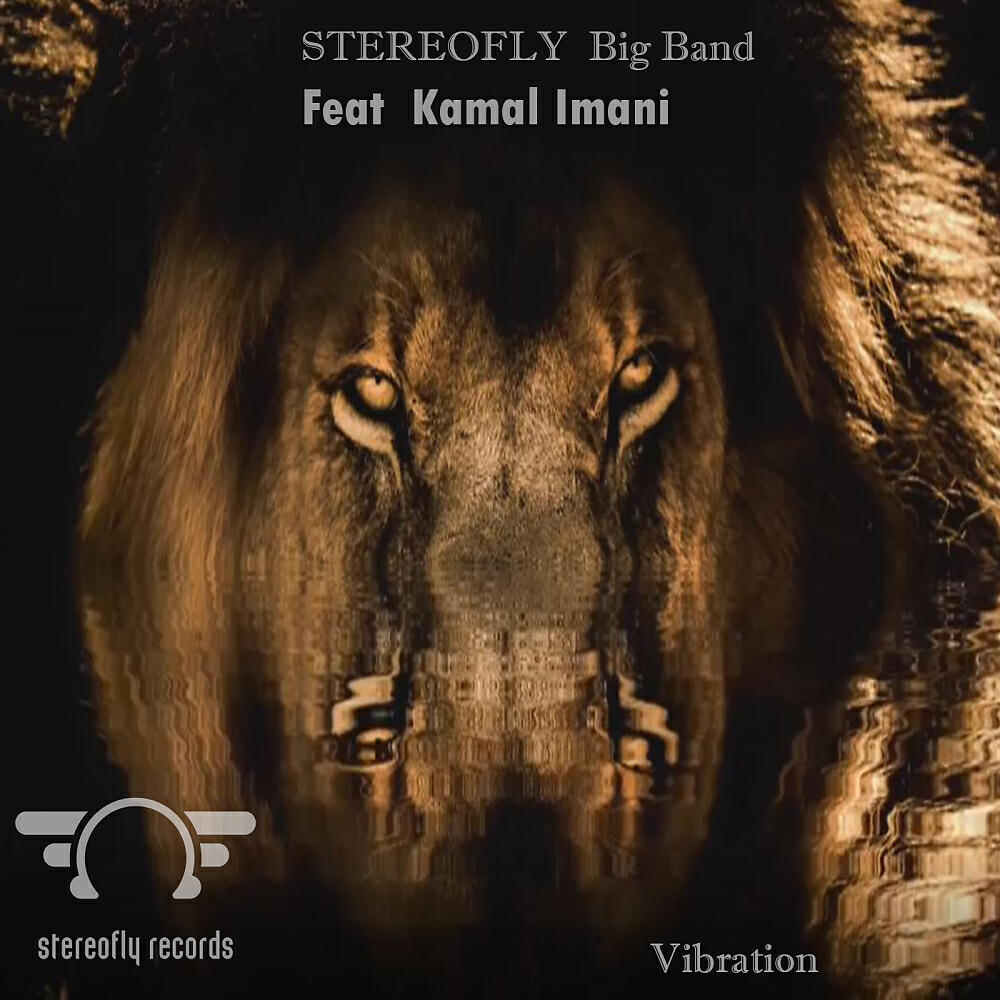 Скачать песню Stereofly Big Band, Kamal Imani - Vibration бесплатно в MP3 для Android и iOS