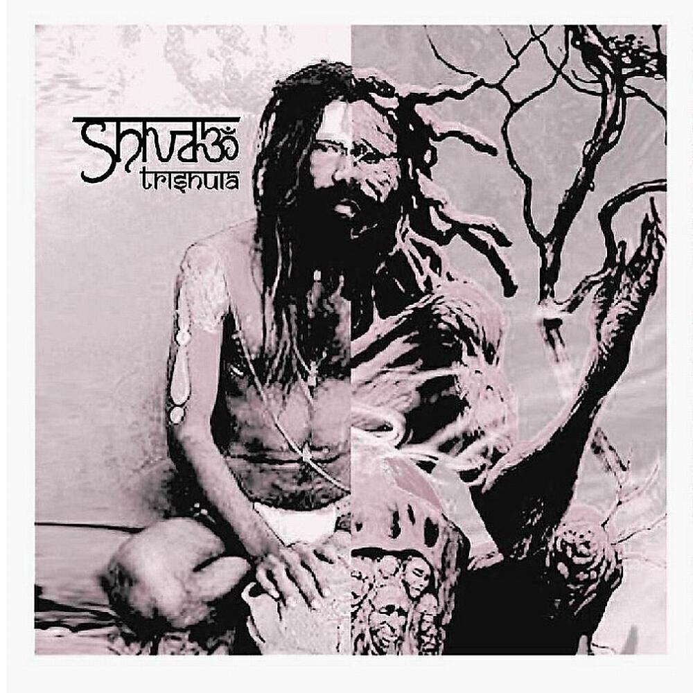 Shivaz Project