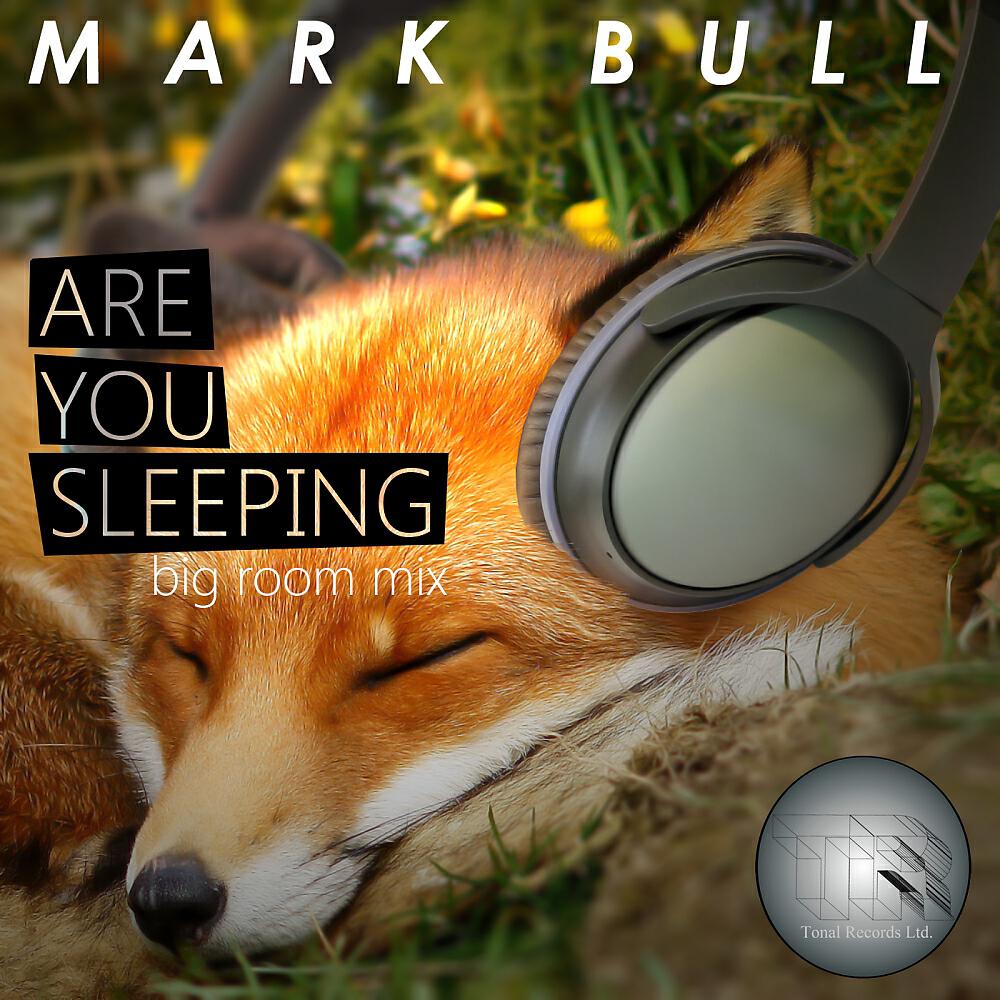 Релиз Are You Sleeping (Big Room Mix)