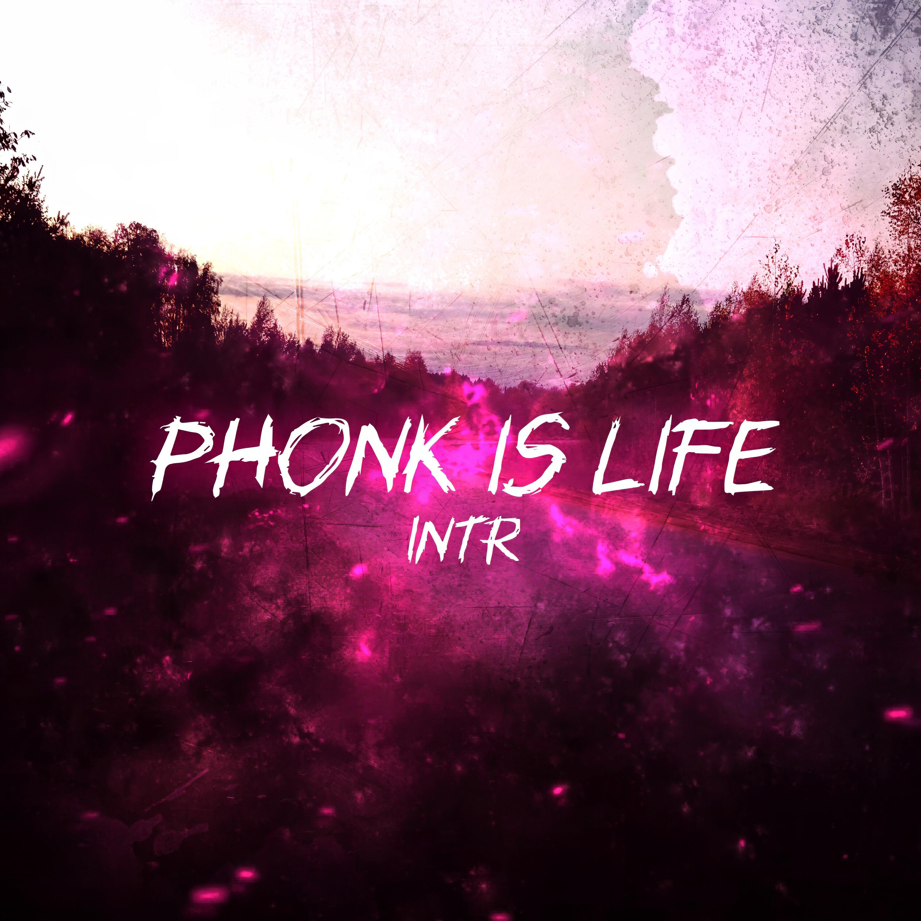 Релиз Phonk is Life