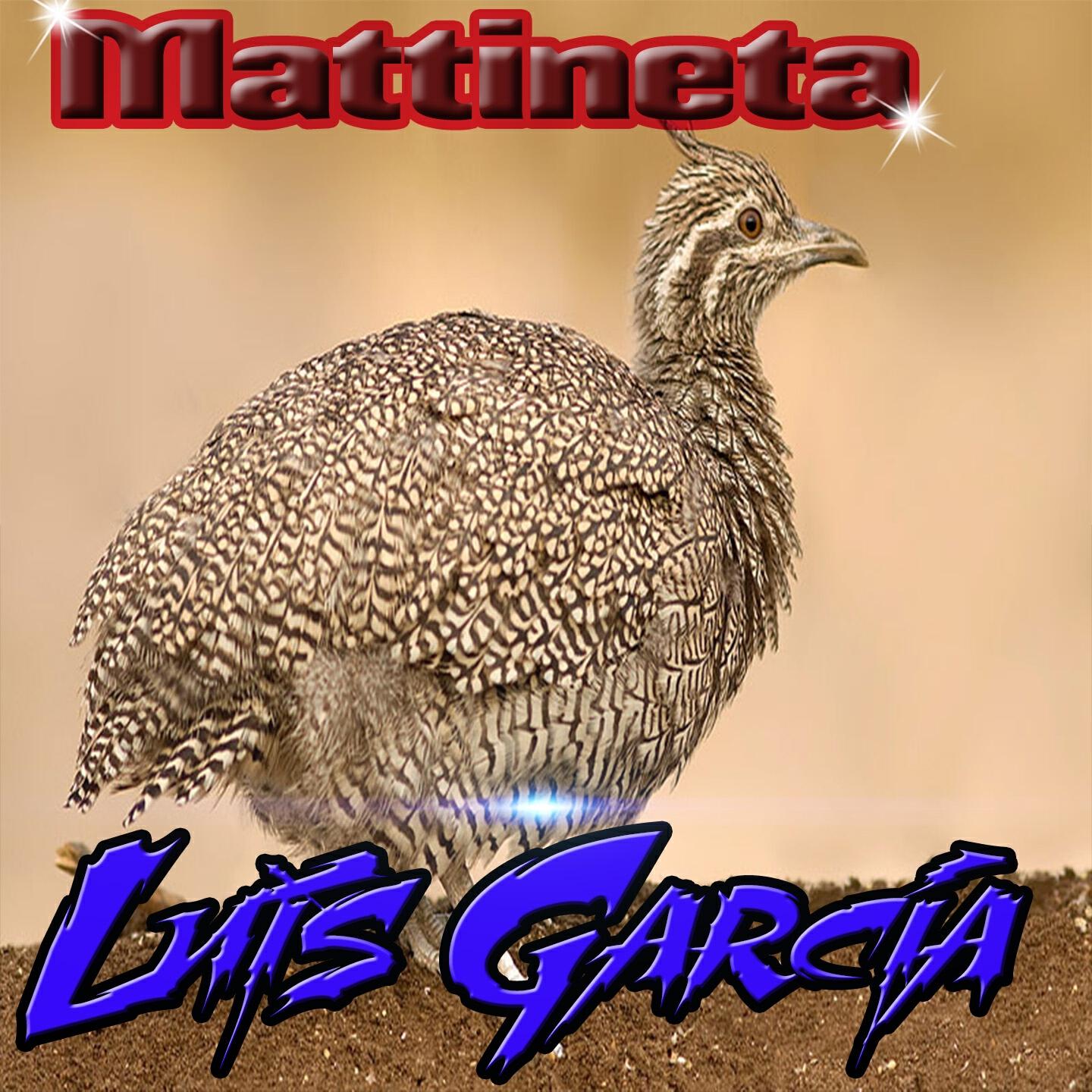 Релиз Mattineta