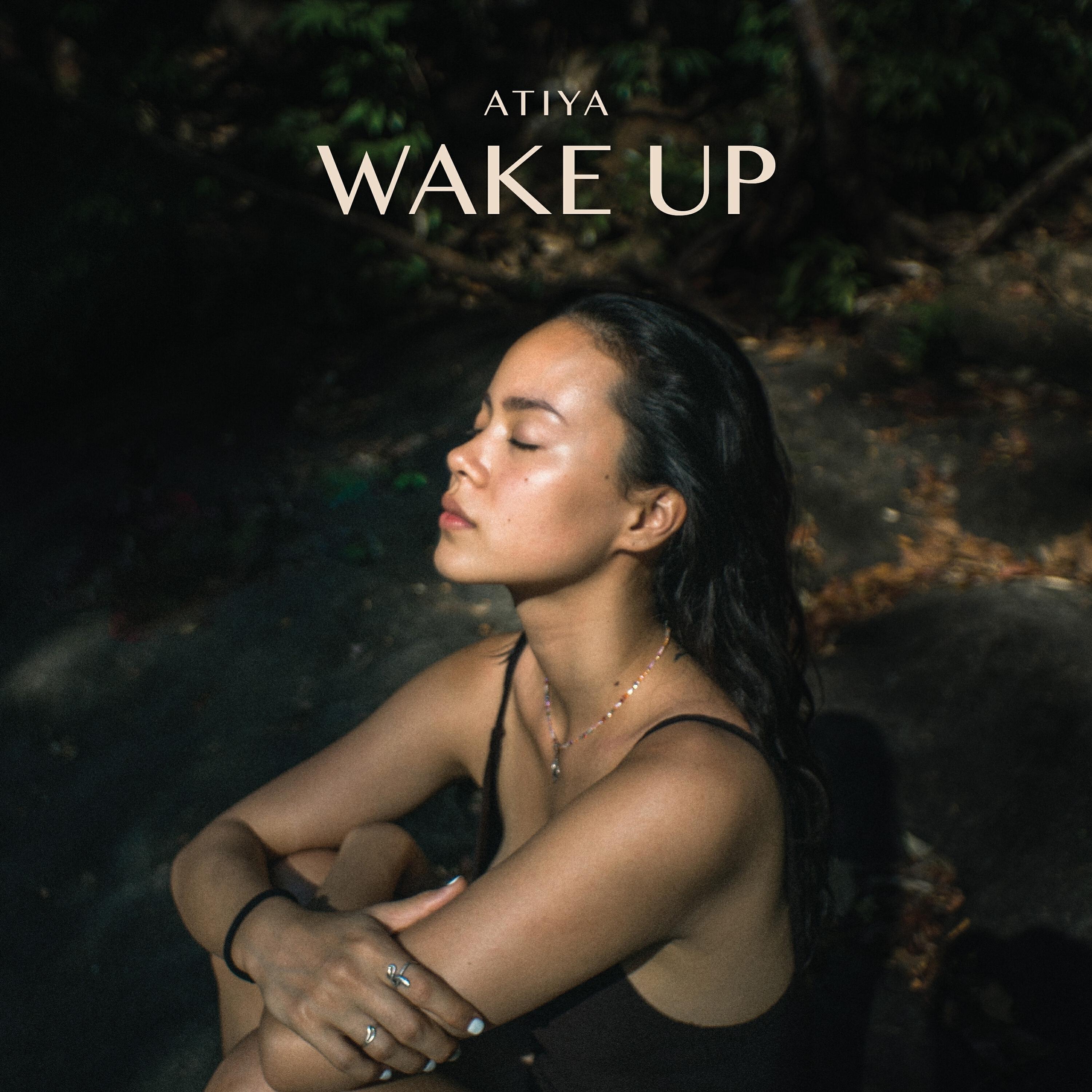 Релиз Wake Up