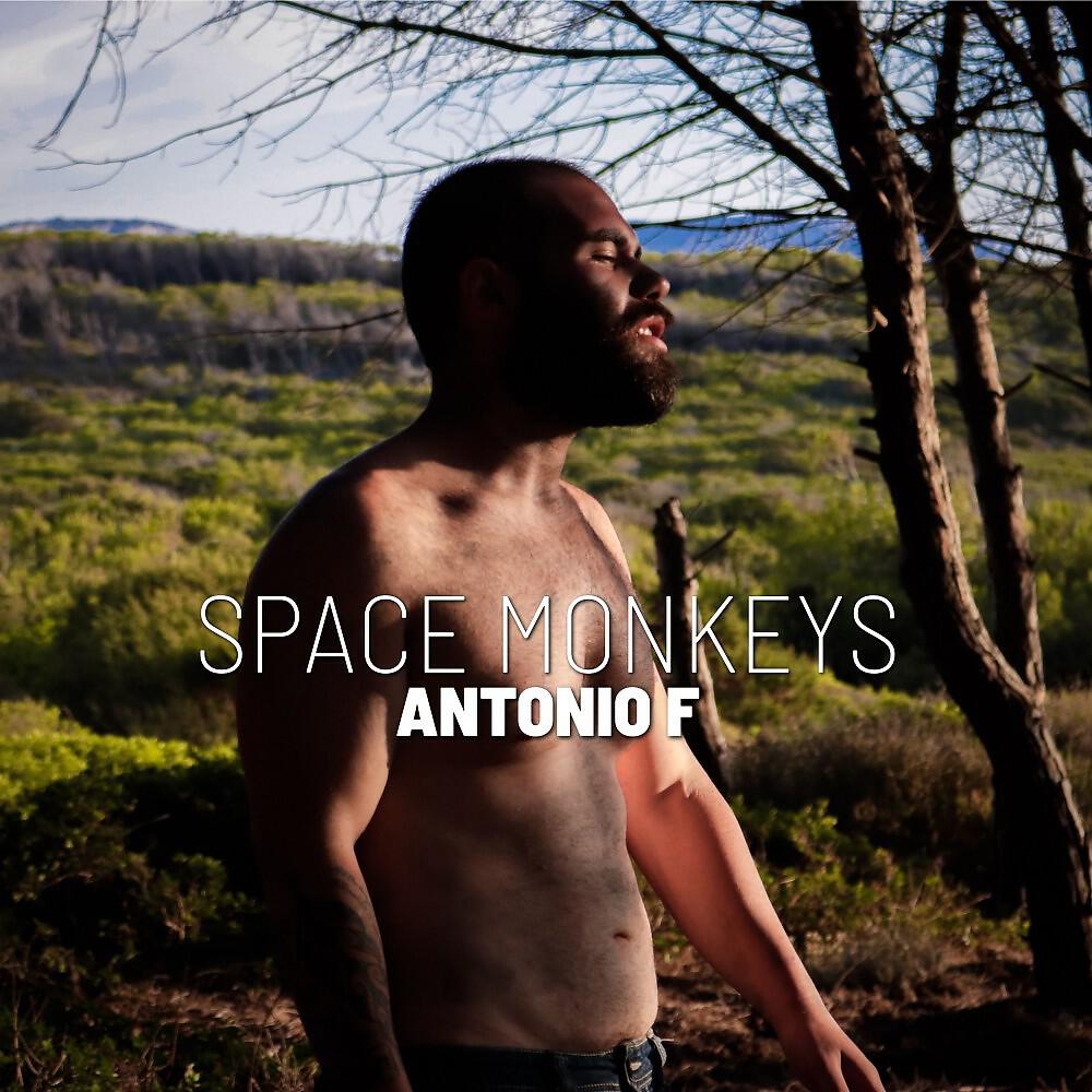 Релиз Space Monkeys