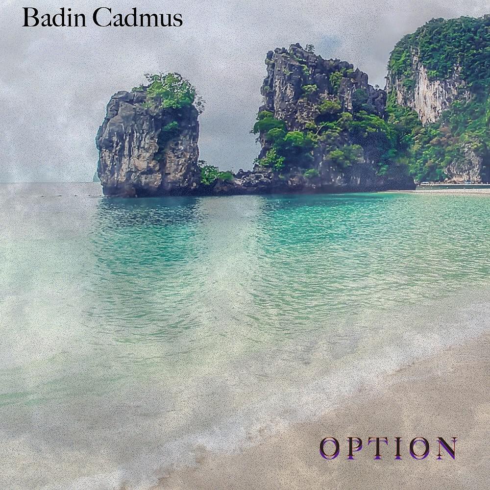 Релиз Option